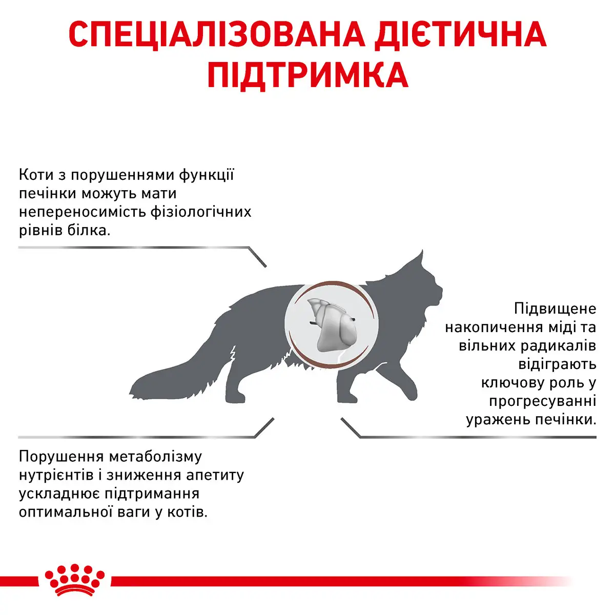 ROYAL CANIN Hepatic Cat Сухий корм для дорослих котів7