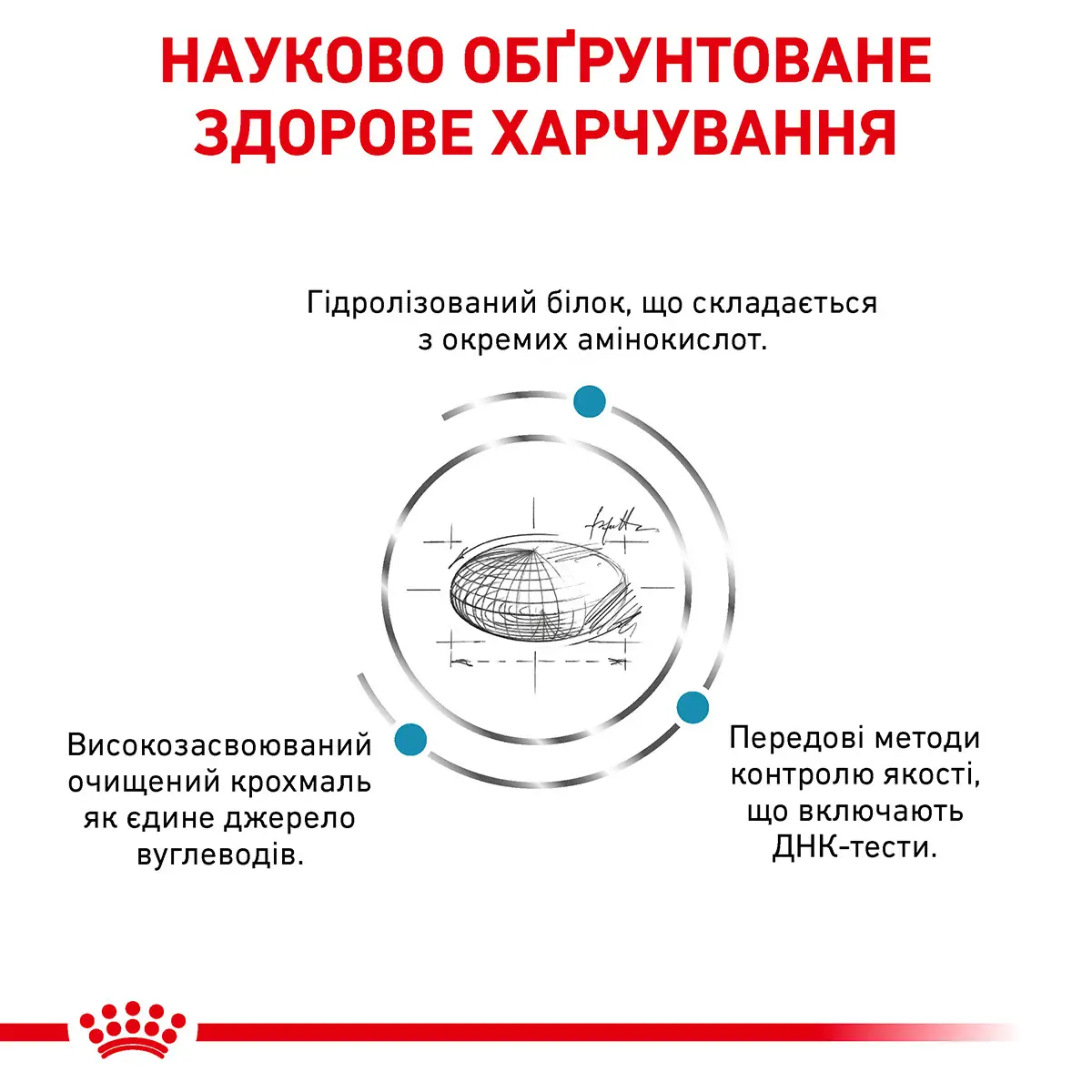 ROYAL CANIN Anallergenic Cat Сухой корм для взрослых котов4