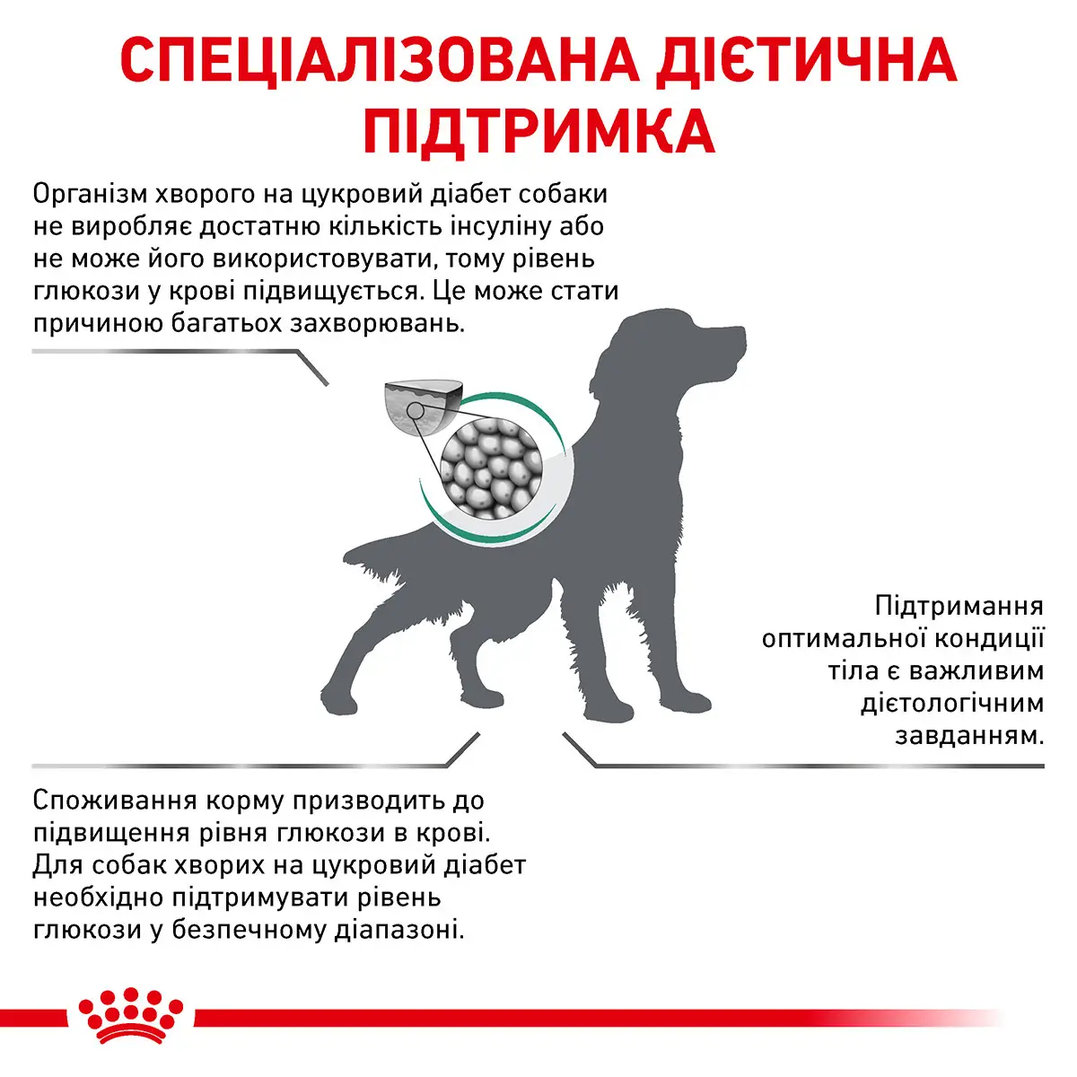 ROYAL CANIN Diabetic Dog Сухий корм для дорослих собак3