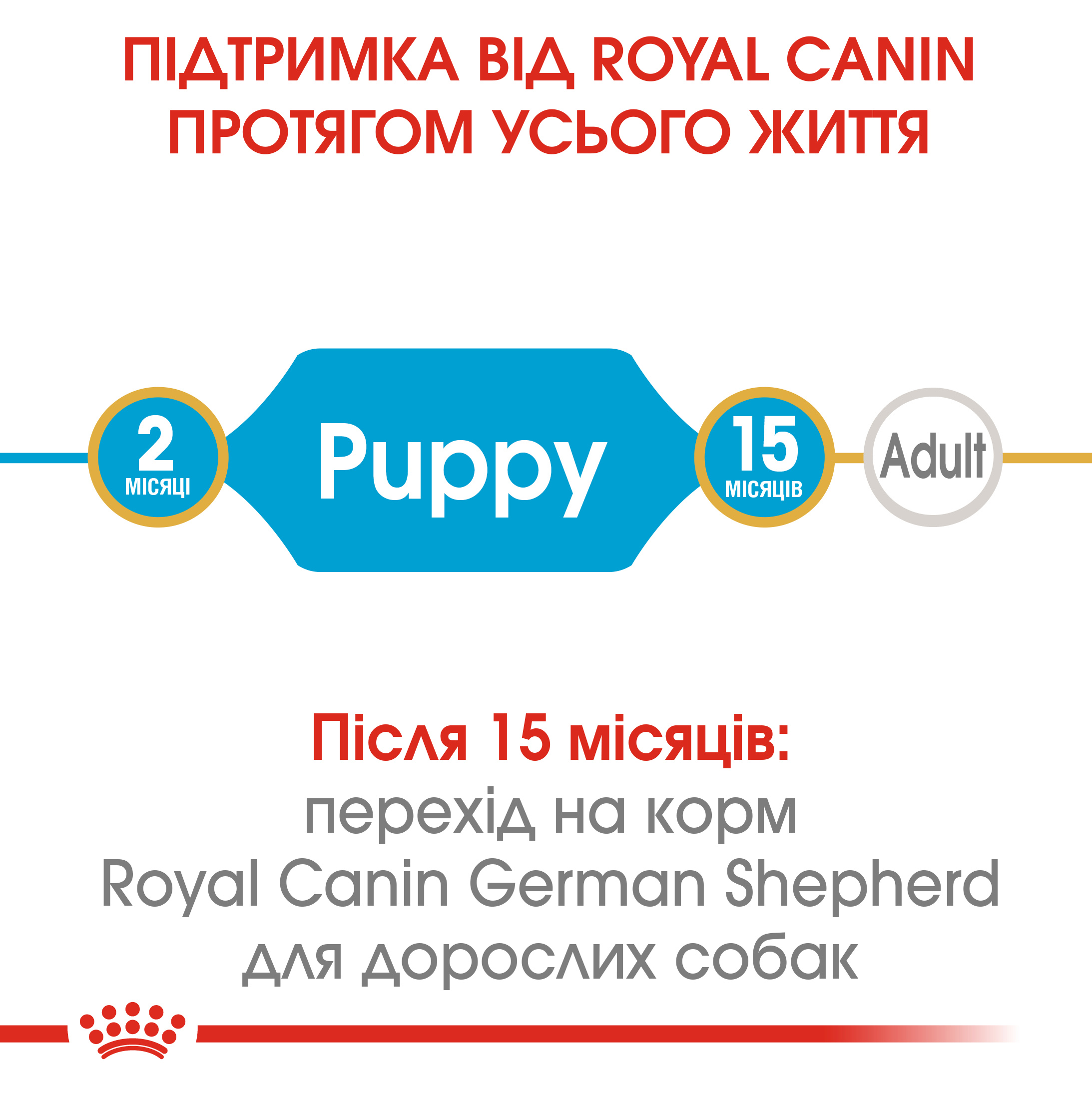 ROYAL CANIN German Shepherd Puppy Сухий корм для цуценят породи німецька вівчарка2