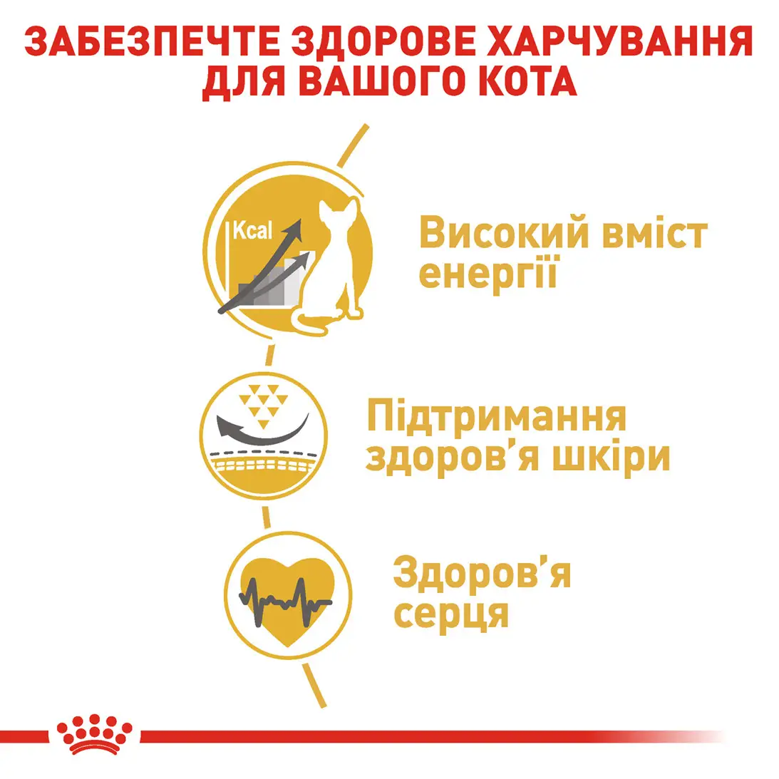 ROYAL CANIN Sphynx Adult Сухий корм для дорослих котів породи Сфінкс5