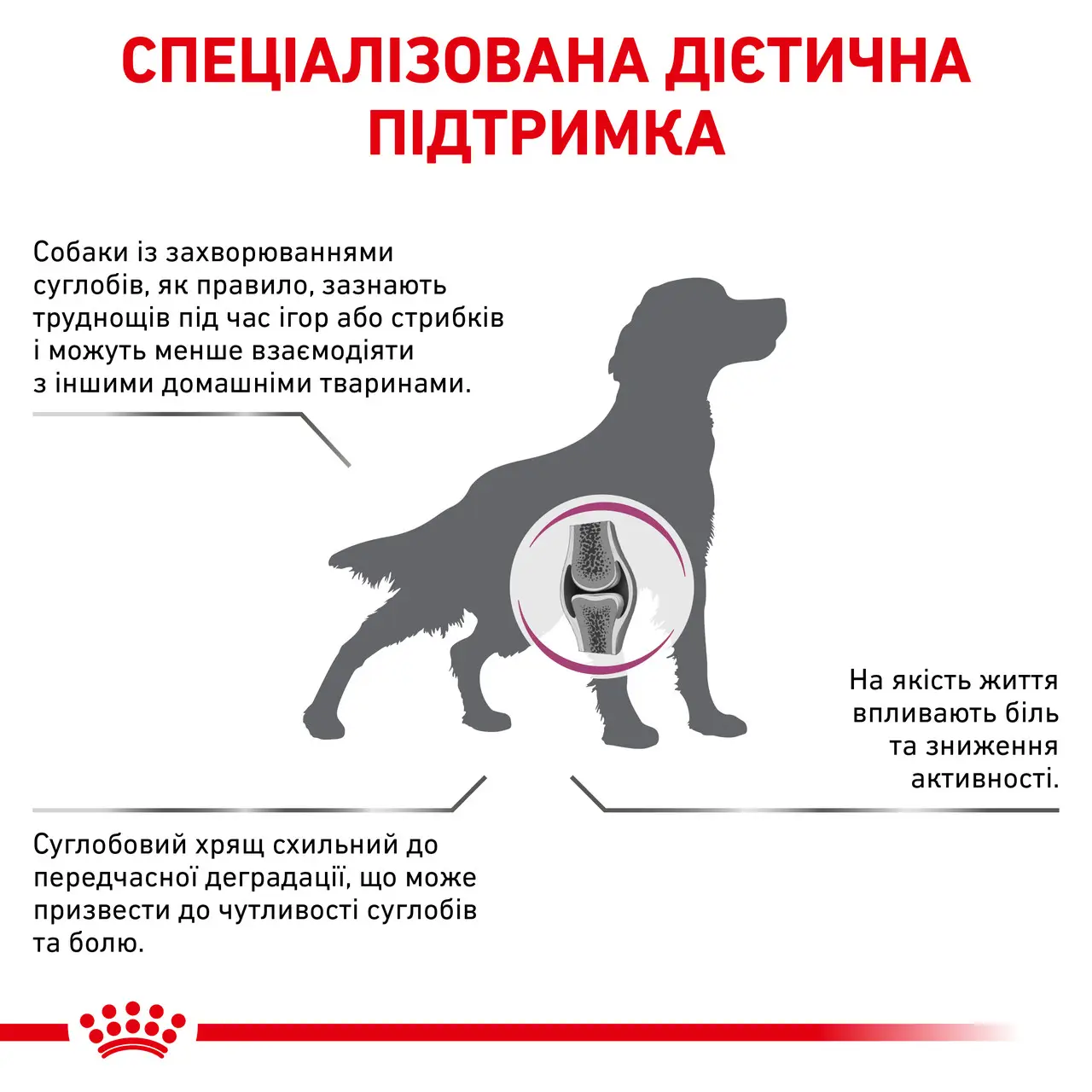 ROYAL CANIN Mobility Support Dog Сухой корм для взрослых собак2