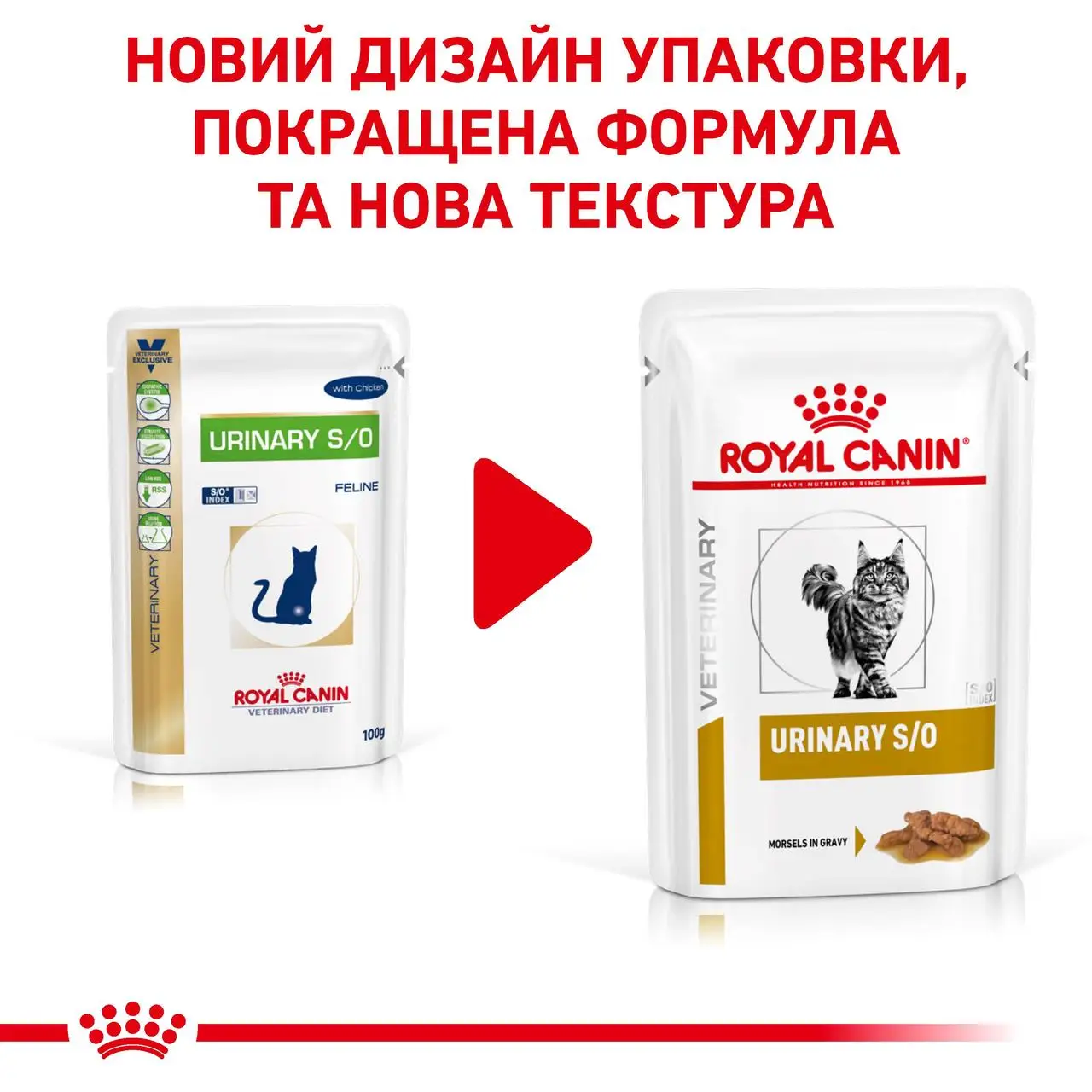 ROYAL CANIN Urinary S/O Cat Вологий корм для дорослих котів8