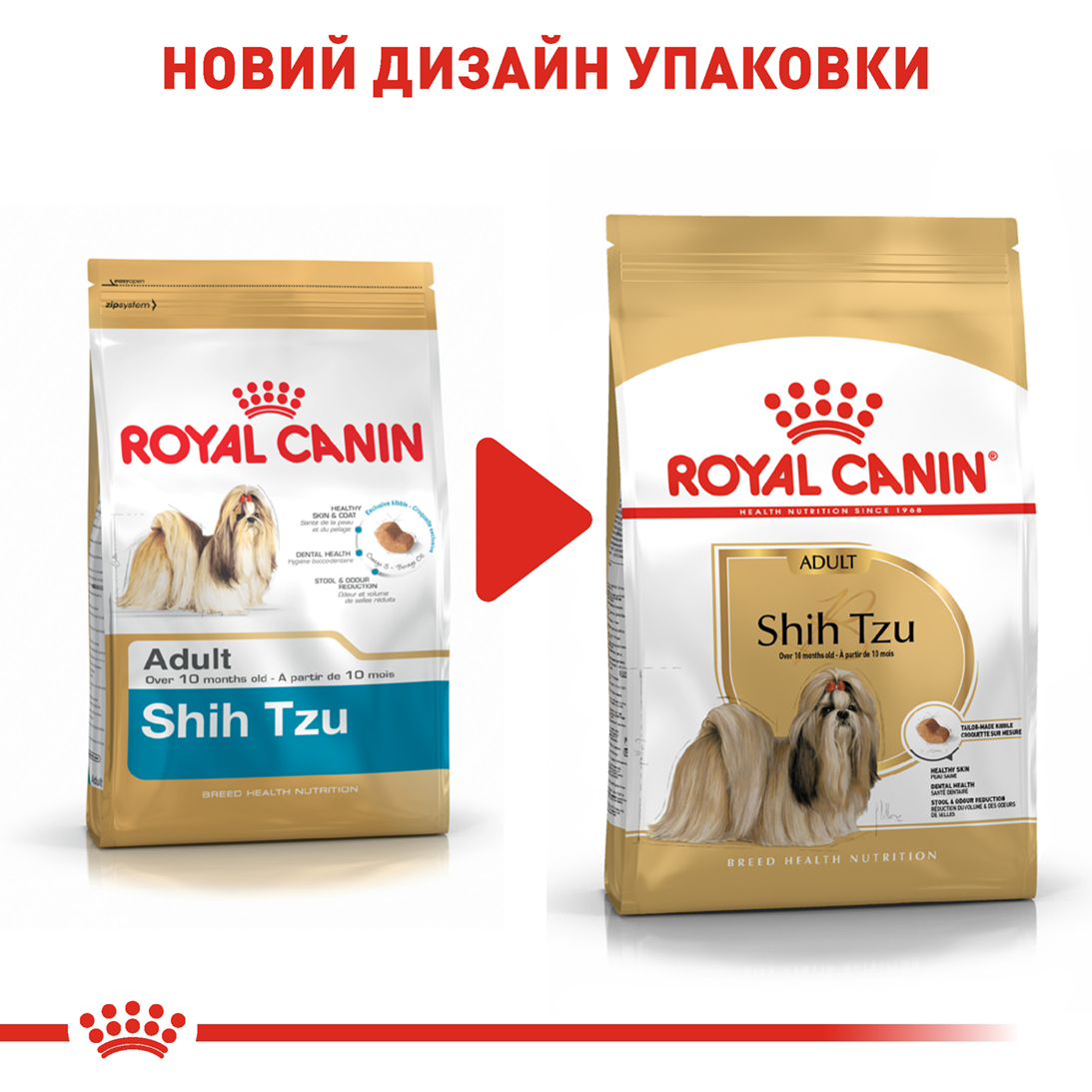 ROYAL CANIN Shih Tzu Adult Сухий корм для дорослих собак породи Ши-тцу6