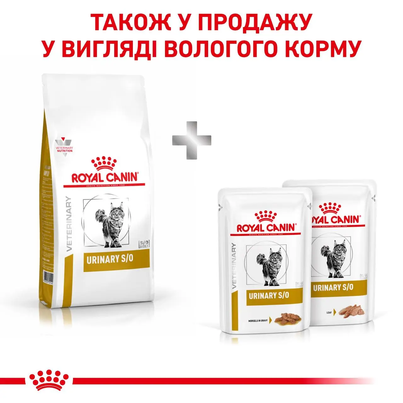 ROYAL CANIN Urinary S/O Cat Сухий корм для дорослих котів2