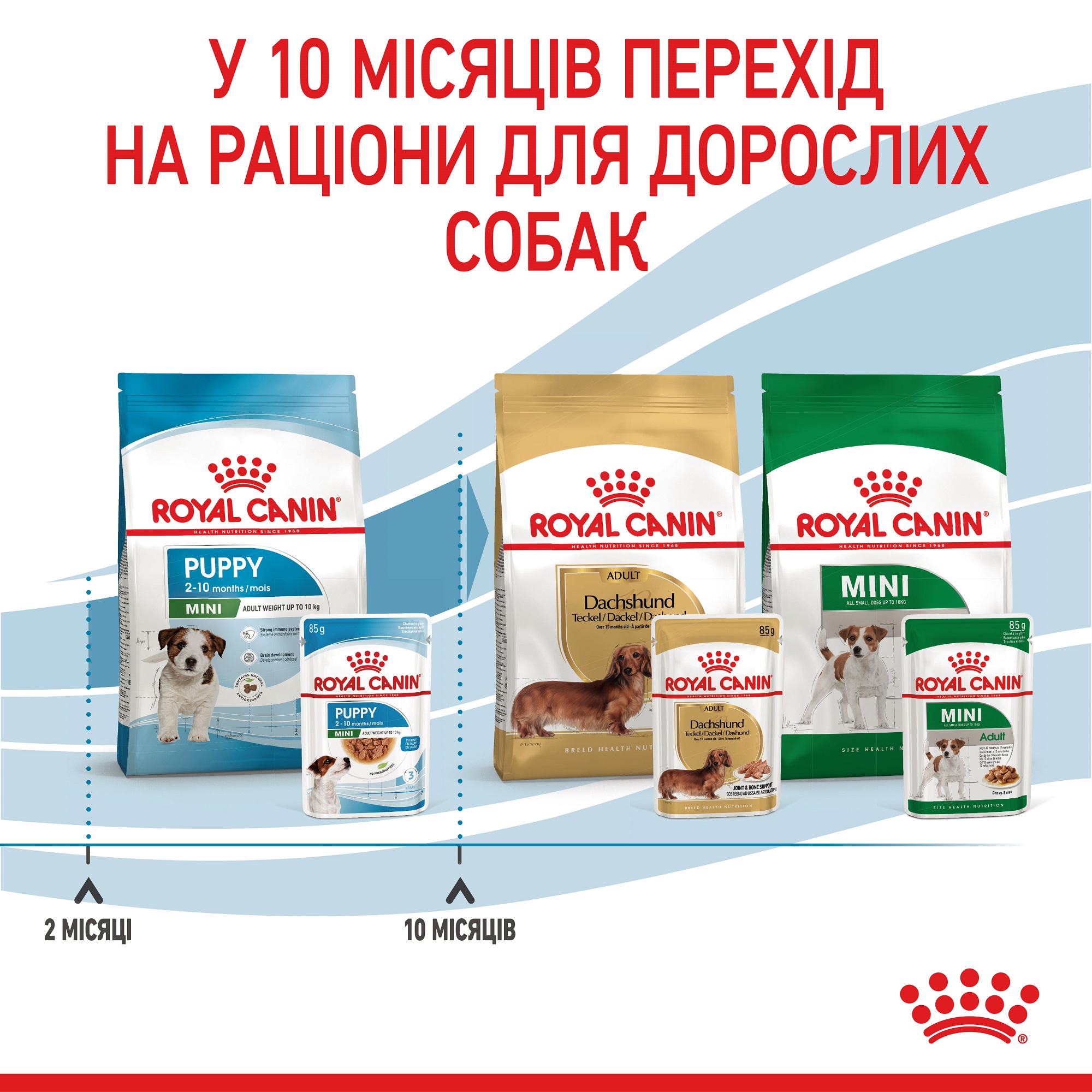 ROYAL CANIN Mini Puppy Вологий корм для цуценят малих порід9