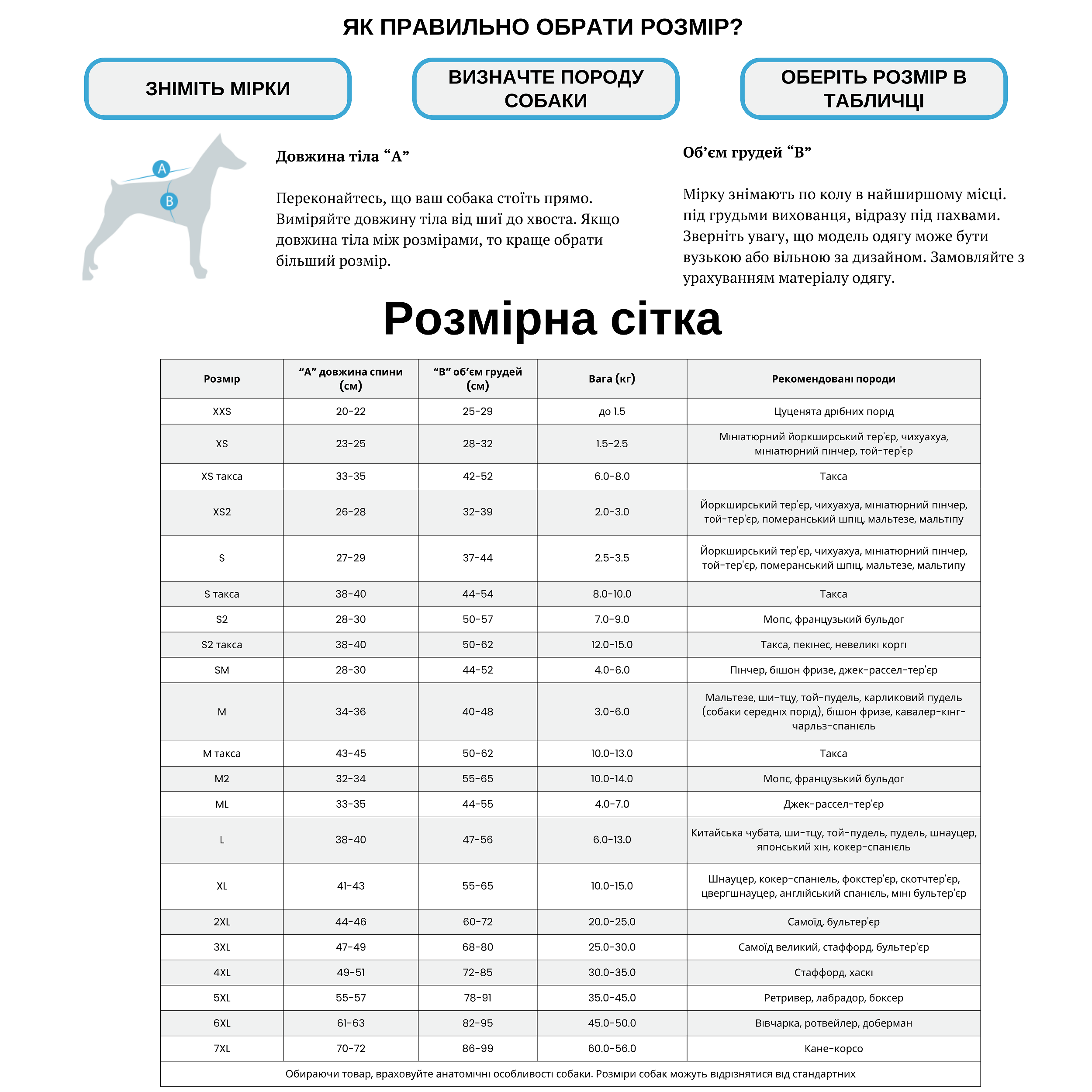 PET FASHION Tina Дощовик для собак10