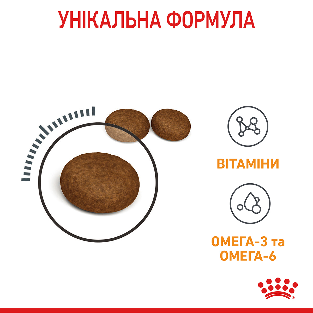 ROYAL CANIN Hair&Skin Care Сухой корм для поддержания здоровья кожи и блеска шерсти у котов3