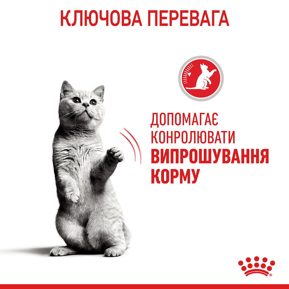 ROYAL CANIN Appetite Control Care Сухий корм для дорослих стерилізованих котів7