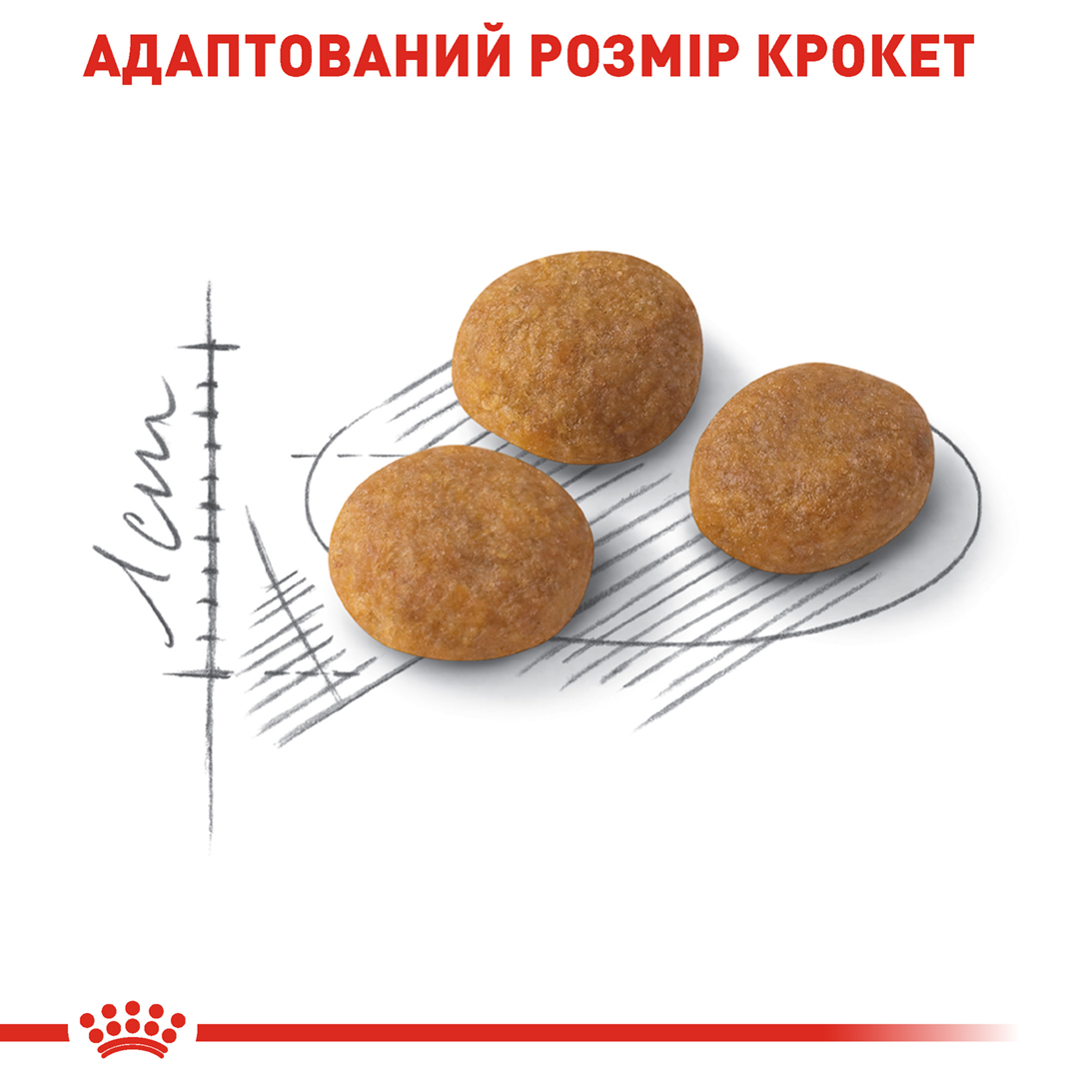 ROYAL CANIN Aroma Exigent Сухий корм для котів вибагливих до аромату2