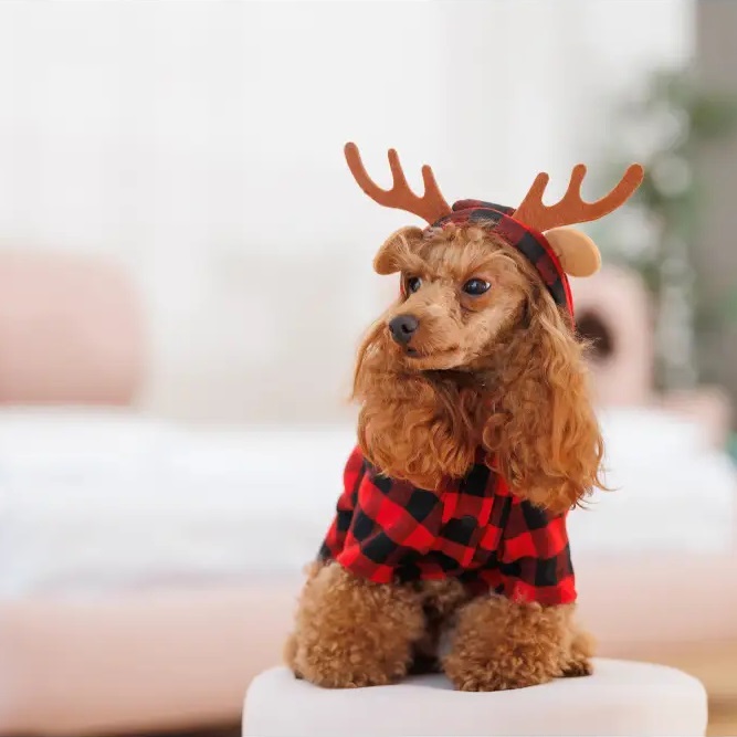 PET FASHION Xmas Костюм для собак6