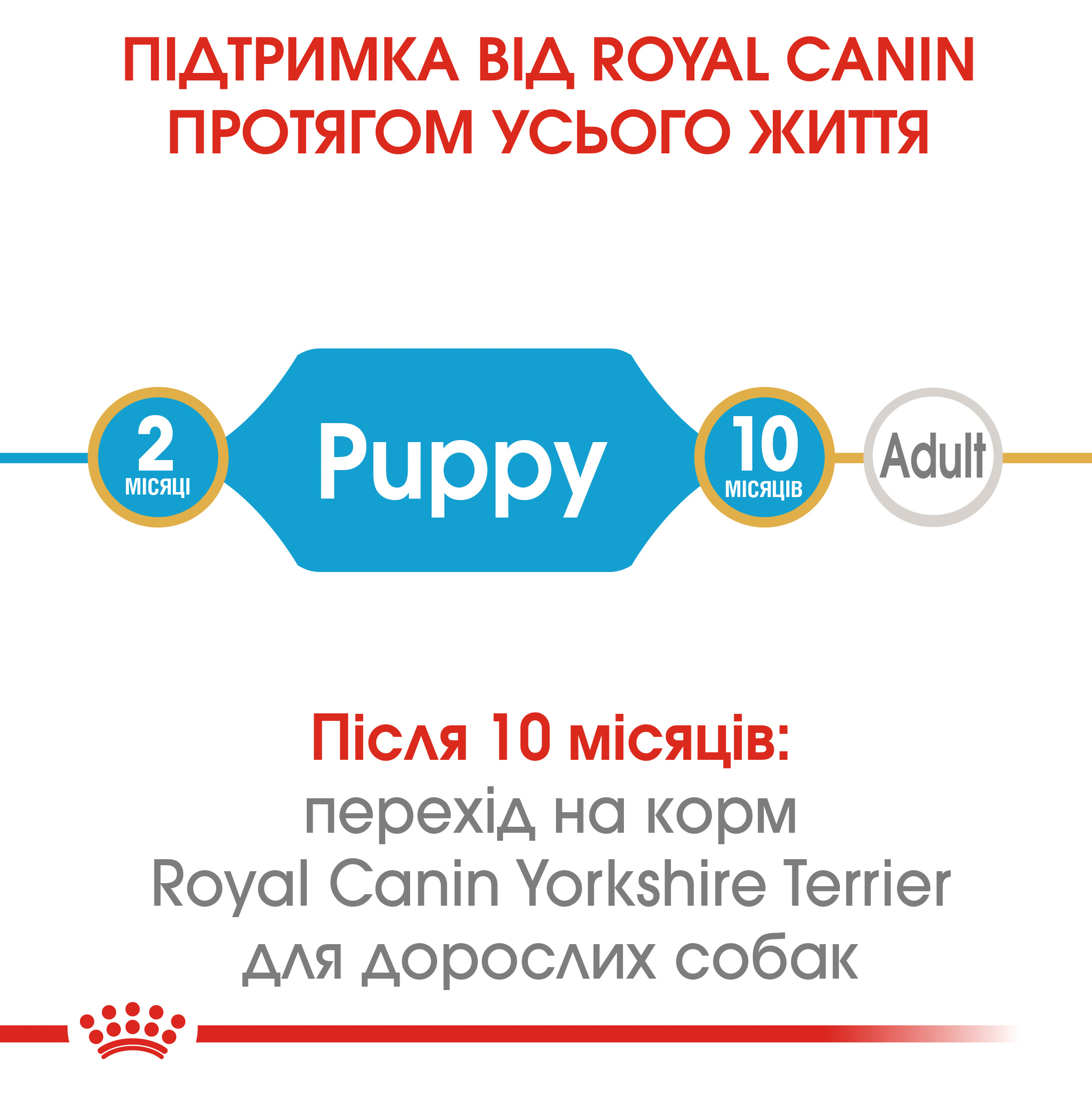 ROYAL CANIN Yorkshire Terrier Puppy Сухий корм для цуценят породи Йоркшир-тер'єр3