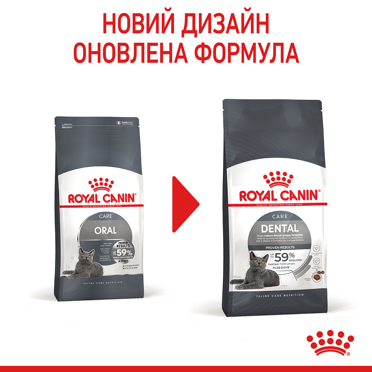 ROYAL CANIN Dental Care Сухой корм для взрослых котов для уменьшения образования зубного налета и камня8