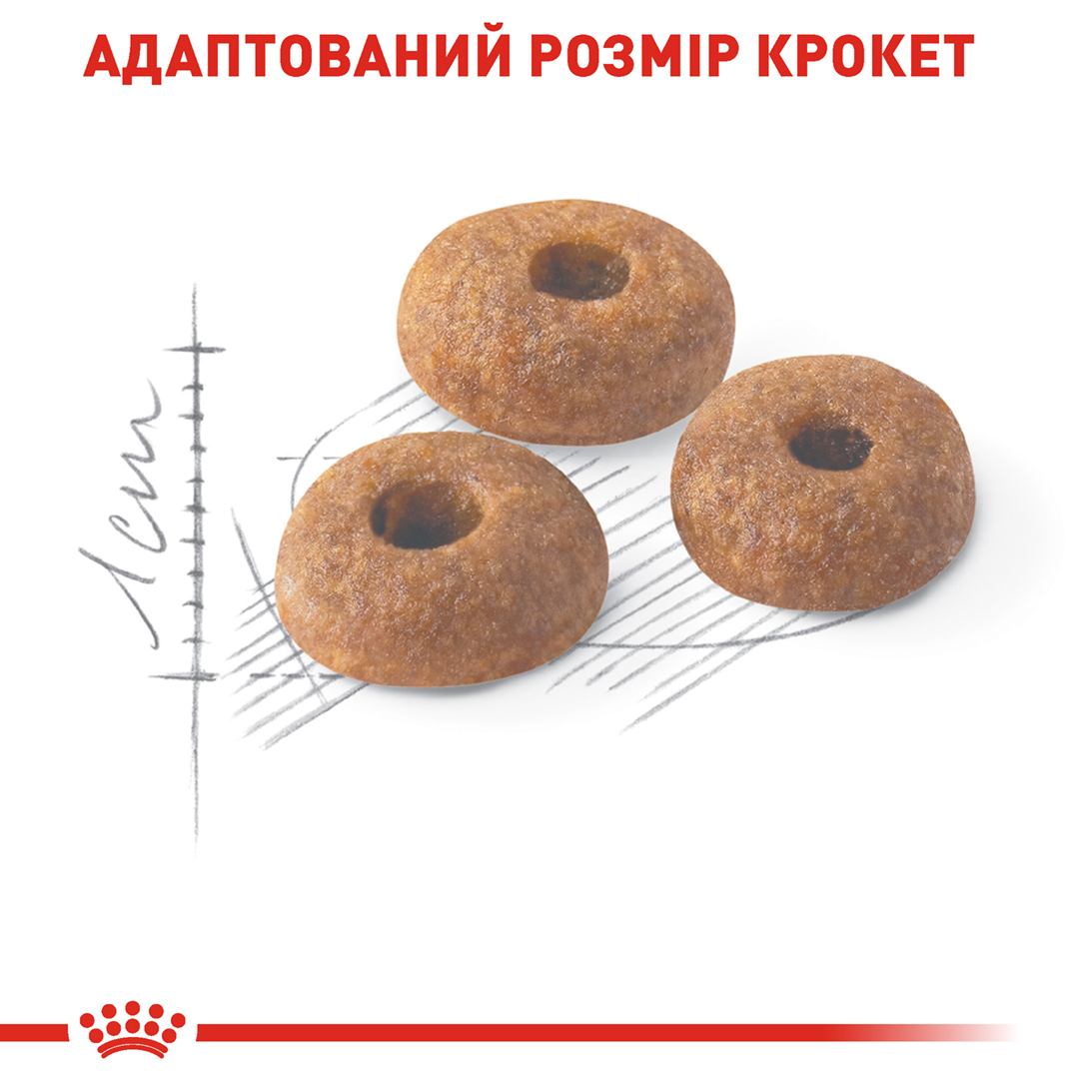 ROYAL CANIN Fit Корм для домашніх і вуличних котів4