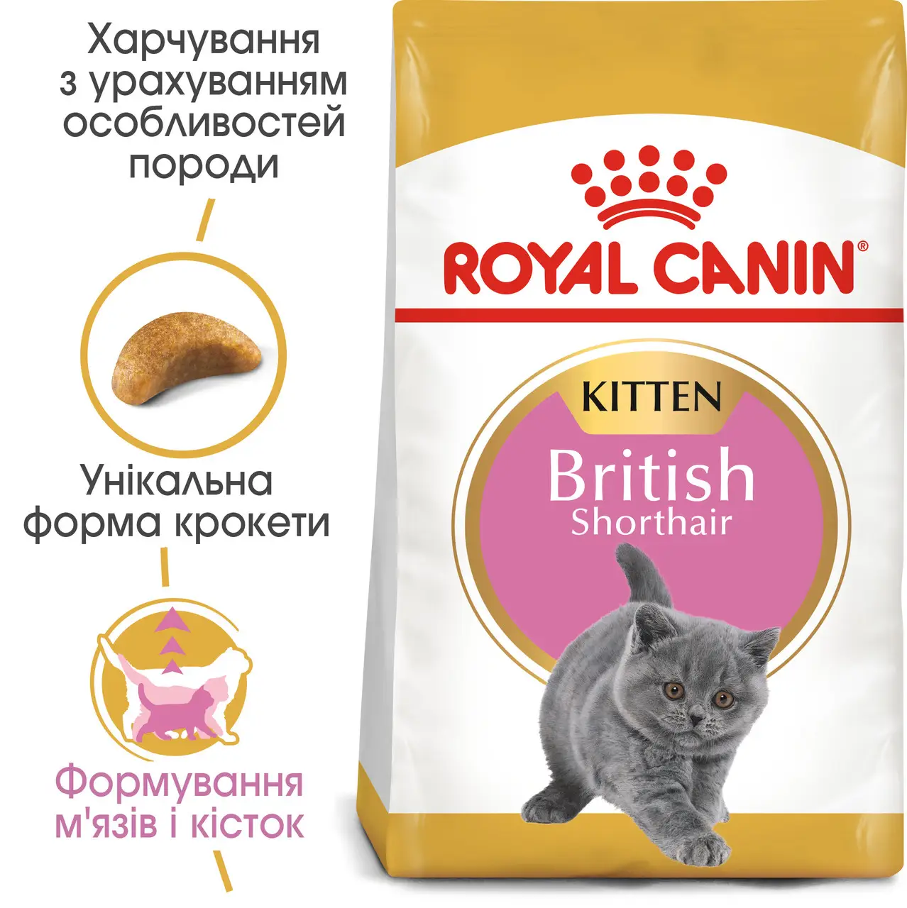 ROYAL CANIN British Shorthair Kitten Сухий корм для кошенят породи Британська короткошерста5