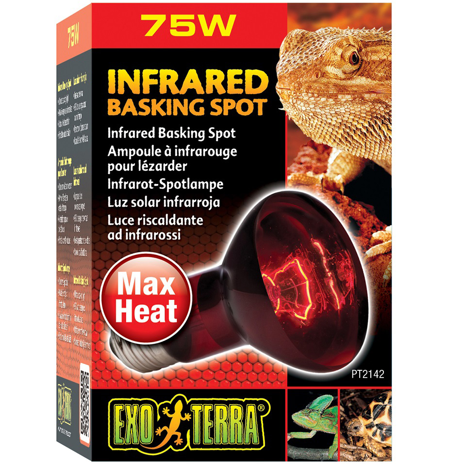 EXO TERRA Infrared Basking Spot 75W Лампа інфрачервона для тераріуму0