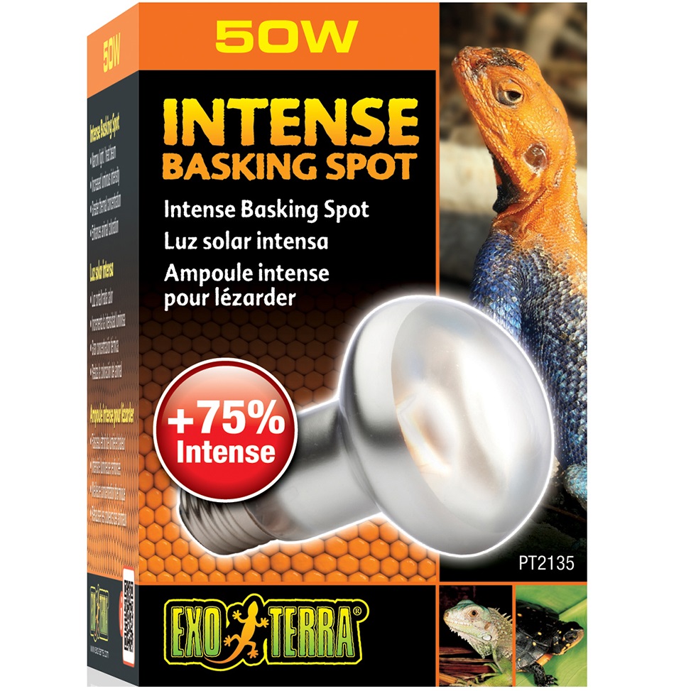 EXO TERRA Intense Basking Spot S20/50W Лампа для террариума0