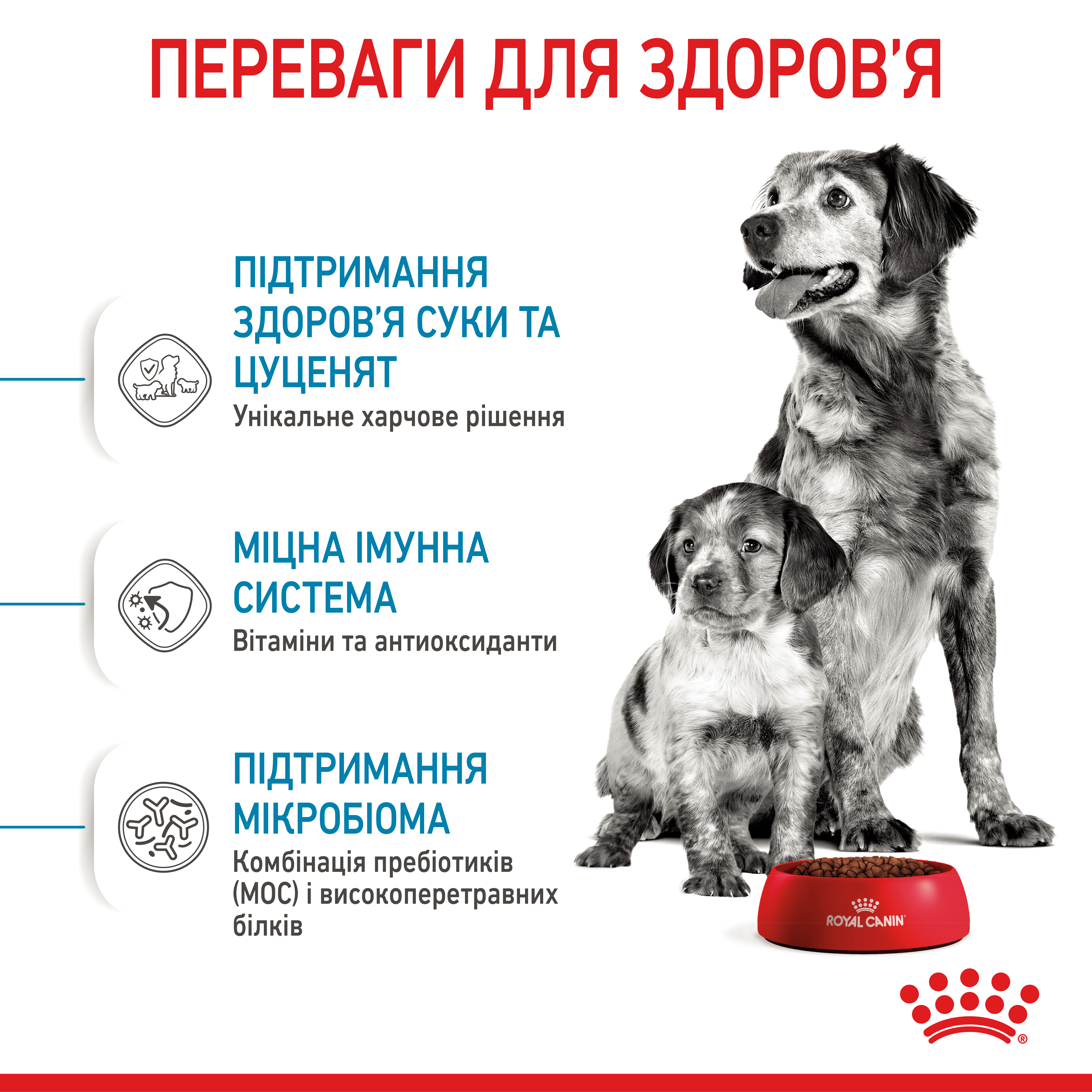 ROYAL CANIN Medium Starter Сухий корм для собак середніх порід2