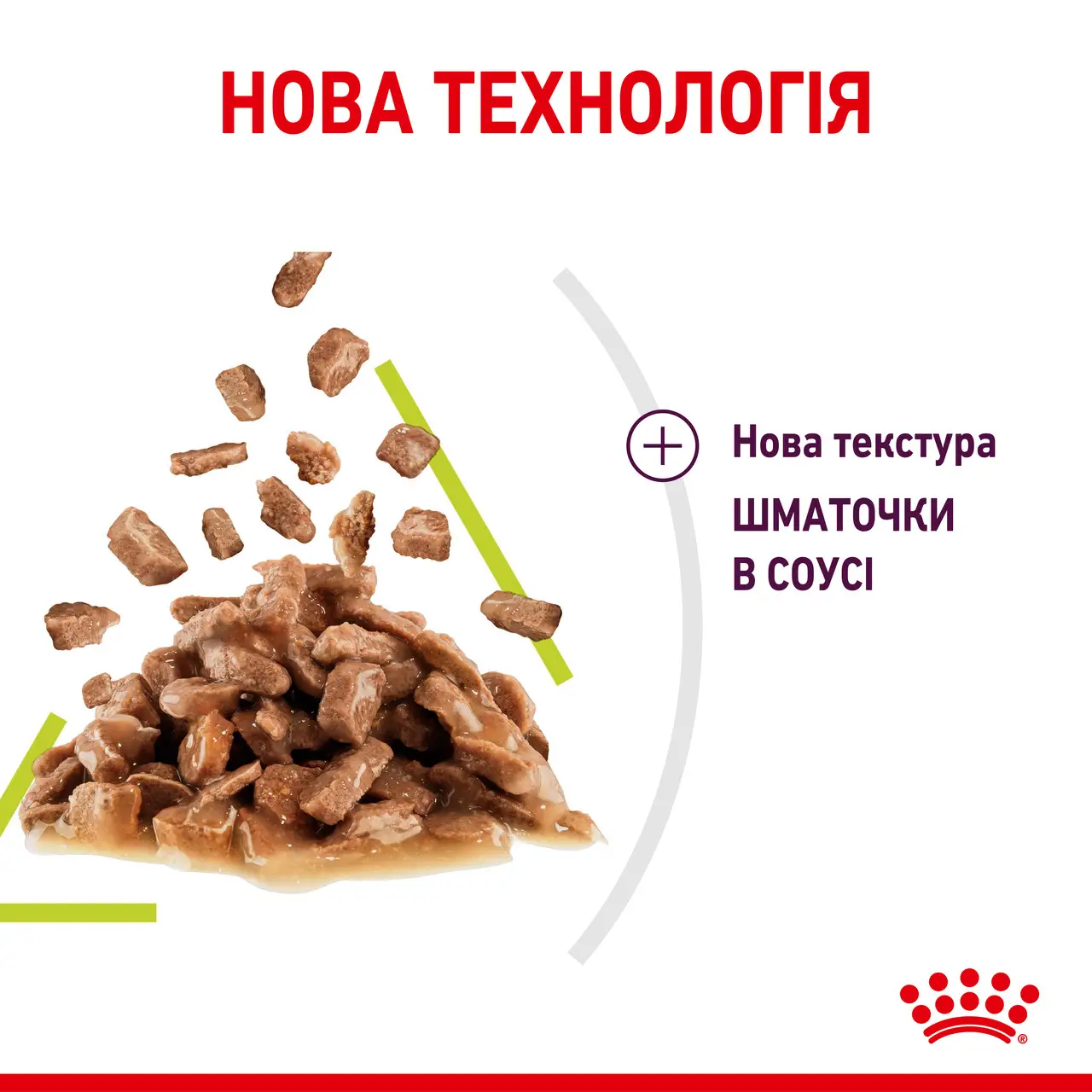 ROYAL CANIN Sensory Smell Gravy Вологий корм для дорослих котів стимулює нюхові рецептори4