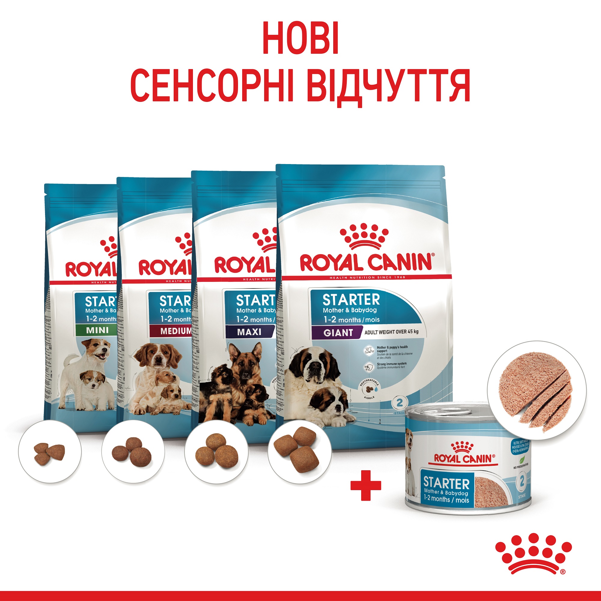 ROYAL CANIN Starter Mousse Вологий корм для цуценят та собак у період лактації6