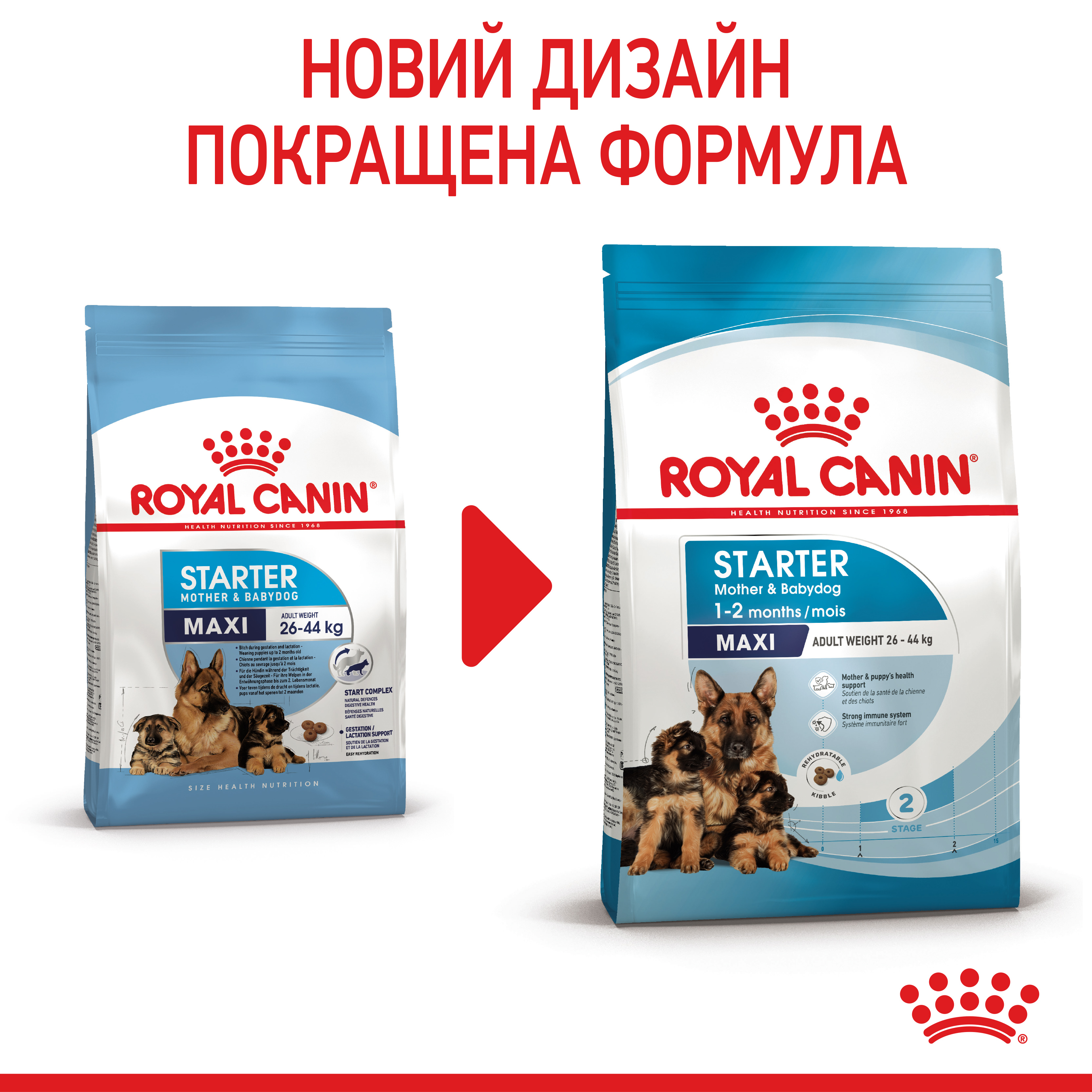 ROYAL CANIN Maxi Starter Сухой корм для кормящих собак больших пород9