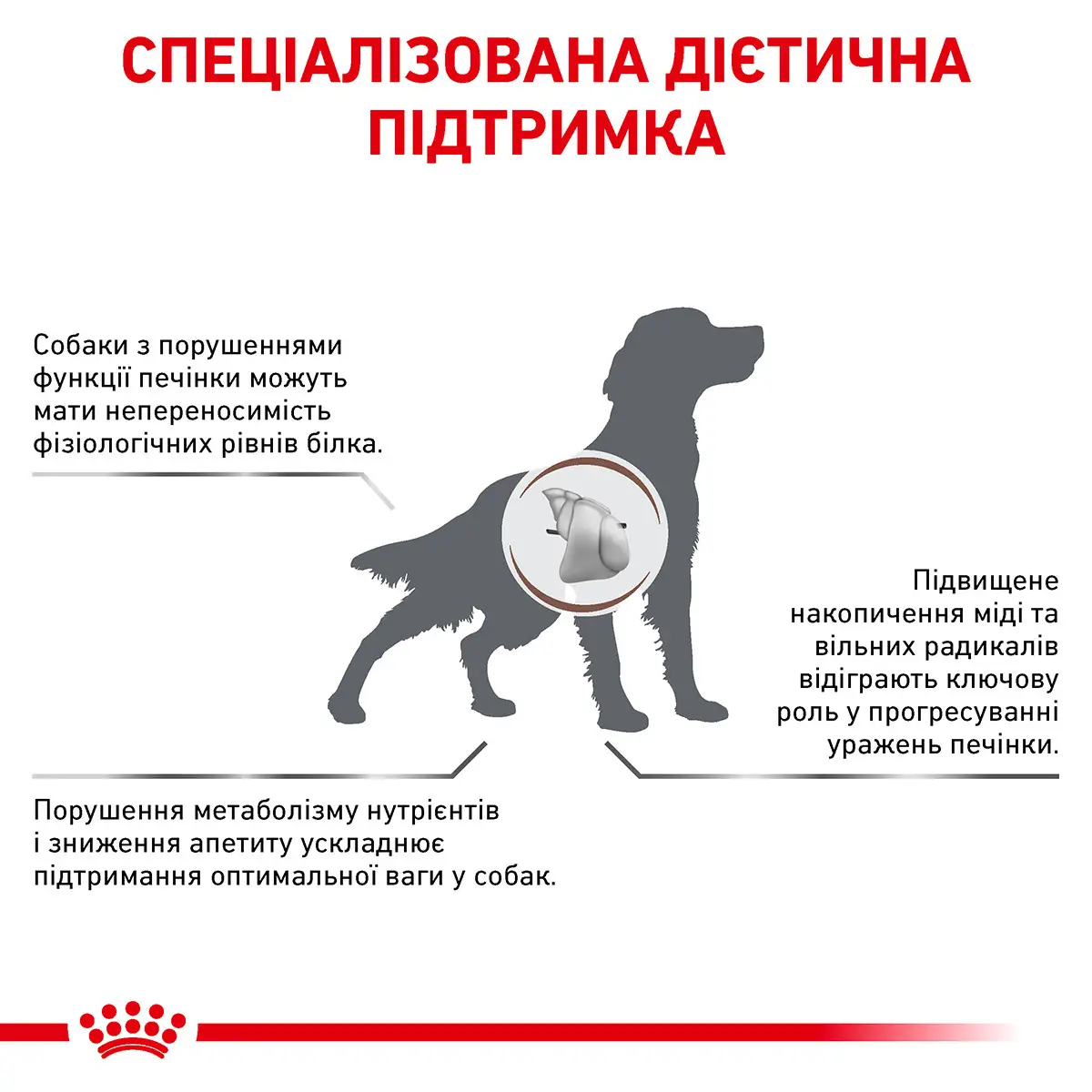 ROYAL CANIN Hepatic Canine Сухий корм для дорослих собак2