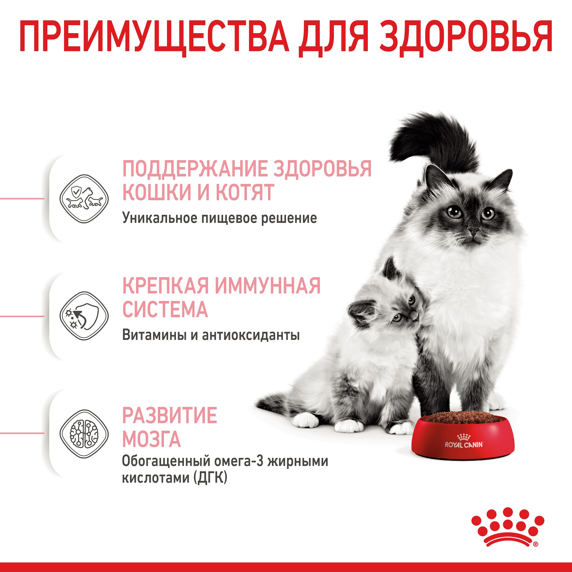 ROYAL CANIN Mother and Babycat Сухой корм для котят и кошек во время беременности5