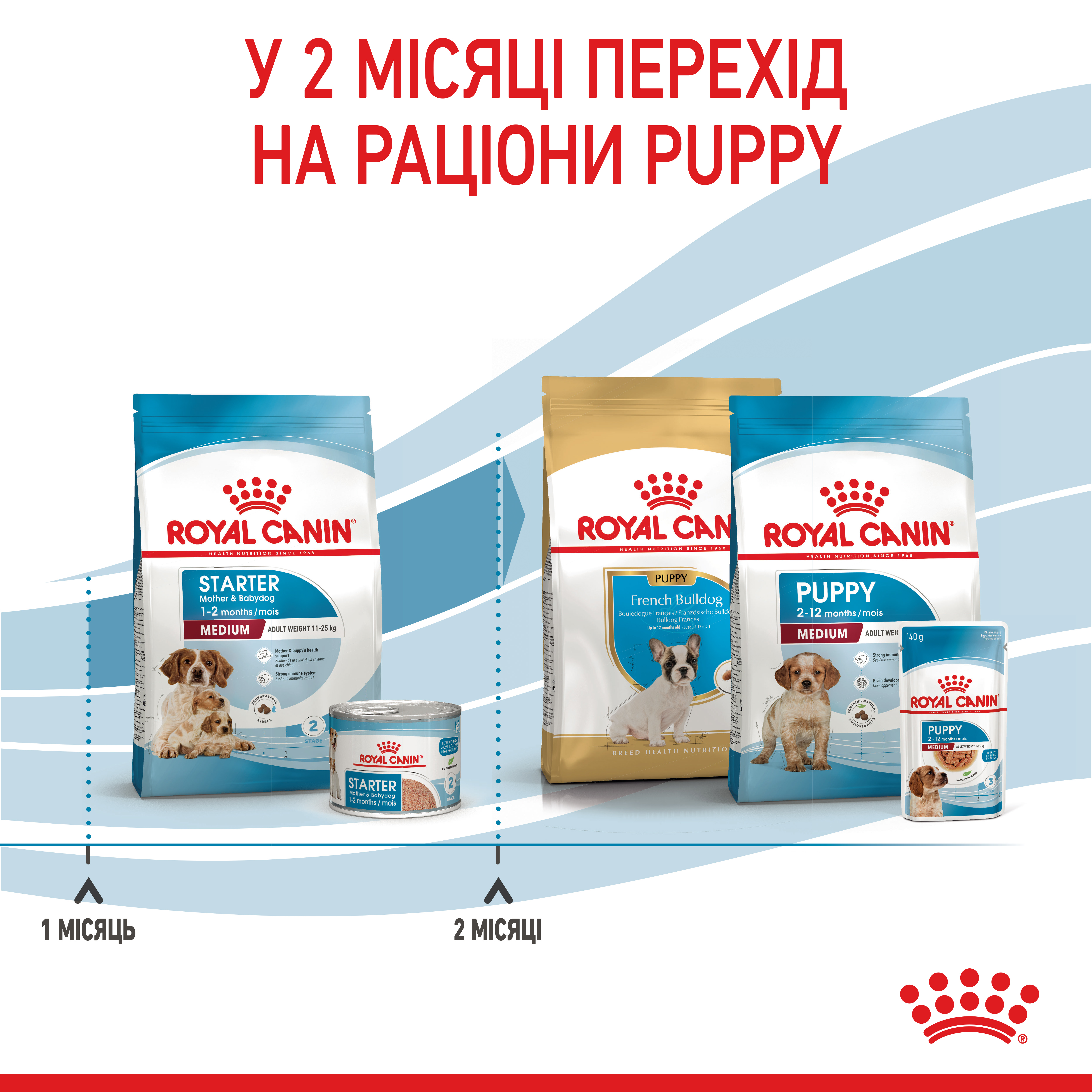 ROYAL CANIN Medium Starter Сухой корм для собак средних пород8