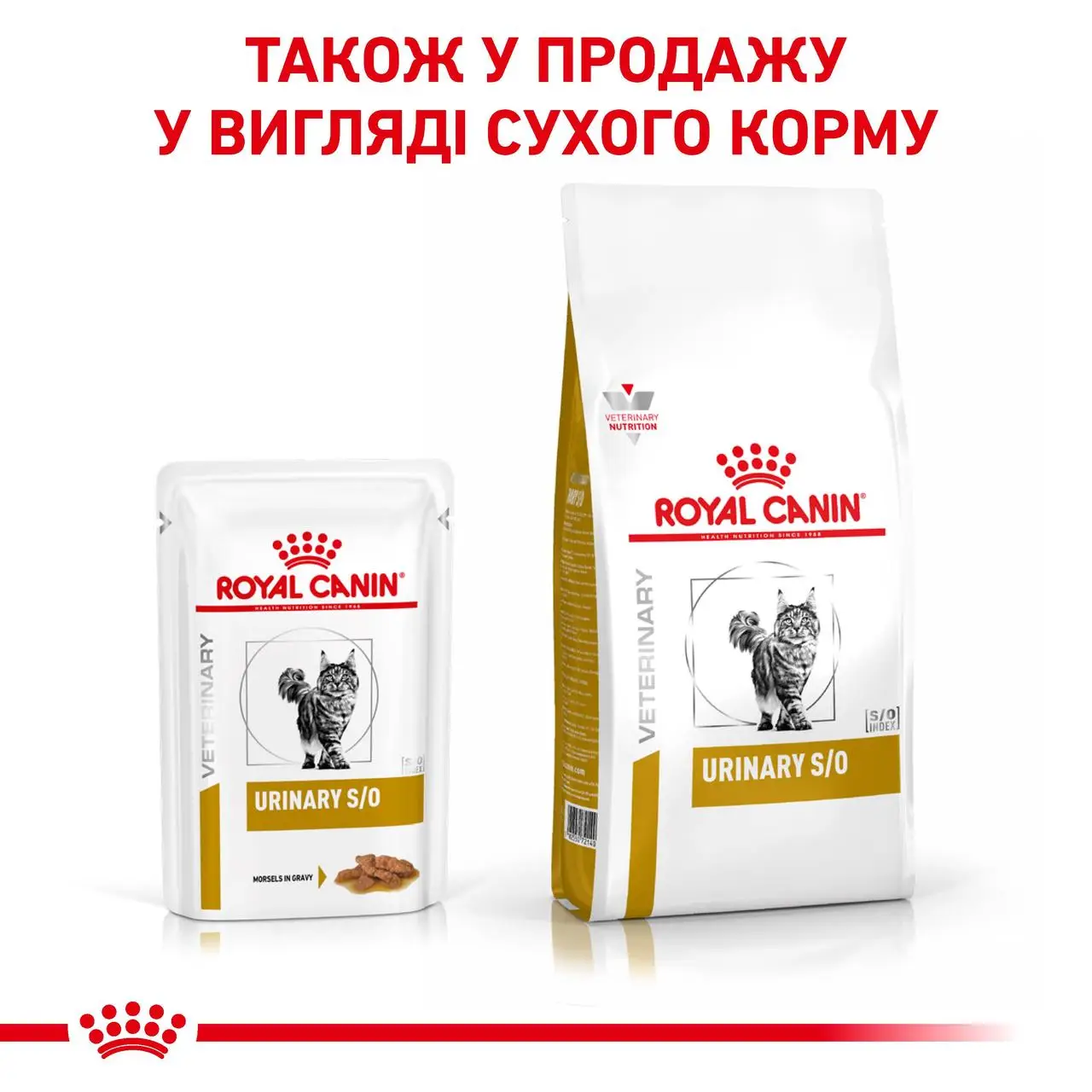 ROYAL CANIN Urinary S/O Cat Вологий корм для дорослих котів5