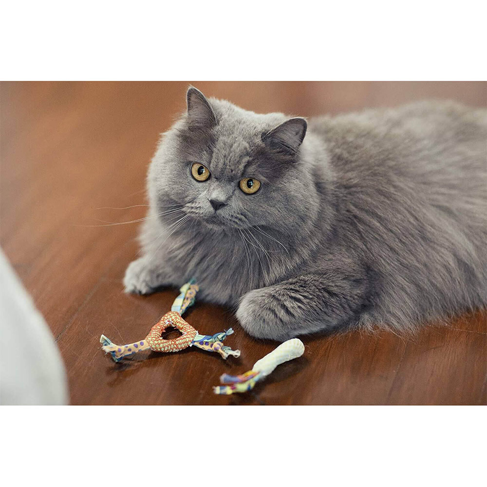 PETSTAGES Catnip Dental Health Chew Игрушка для котов с кошачьей мятой4