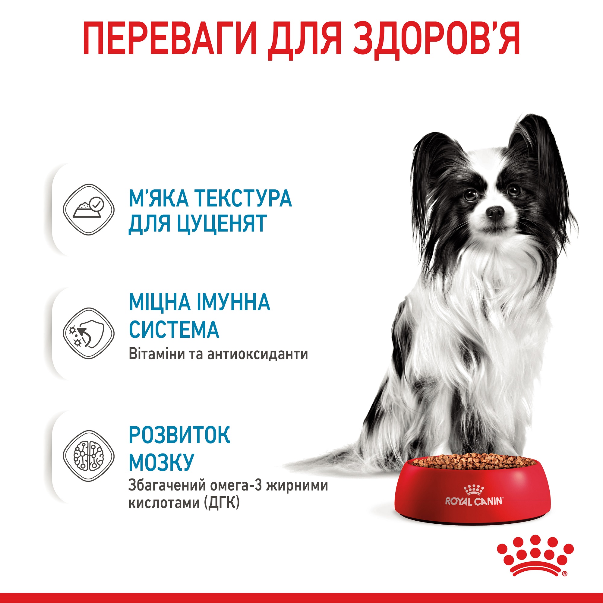 ROYAL CANIN X-Small Puppy Влажный корм для щенков миниатюрных пород5