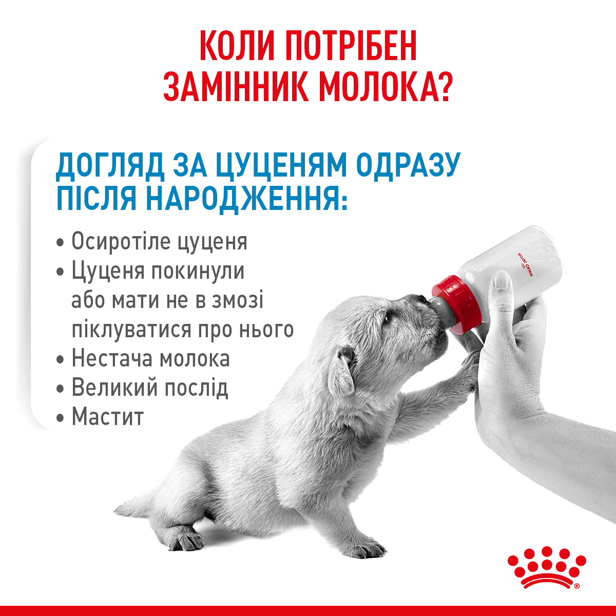 ROYAL CANIN BabyMilk Замінник молока для собак1