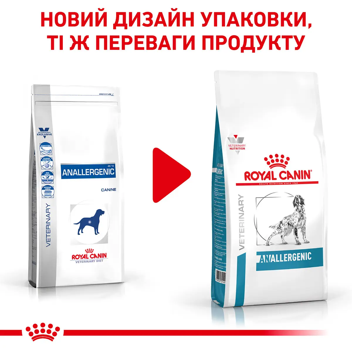 ROYAL CANIN Anallergenic Dog Сухой корм для взрослых собак1