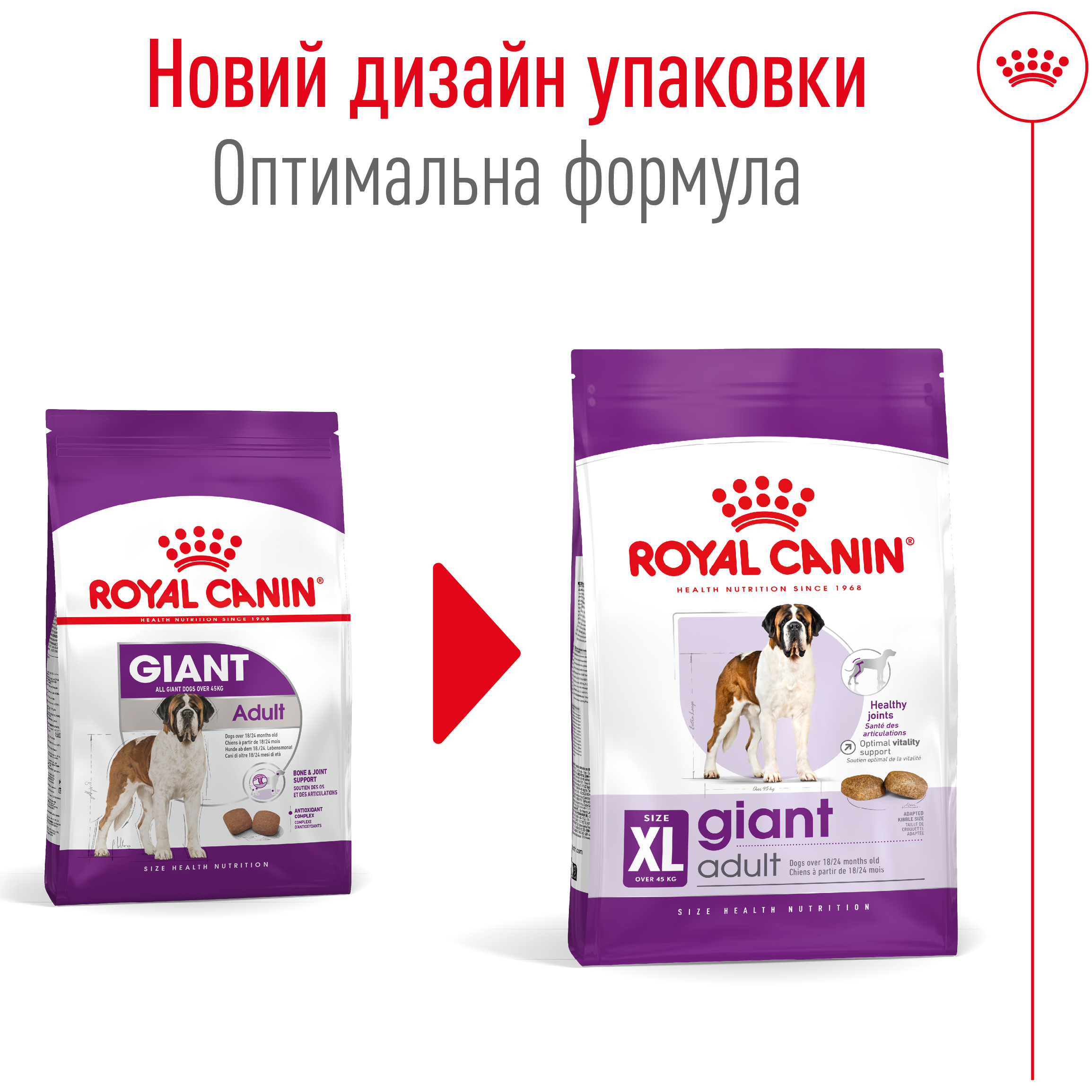 ROYAL CANIN Giant Adult Сухой корм для взрослых собак гигантских пород5