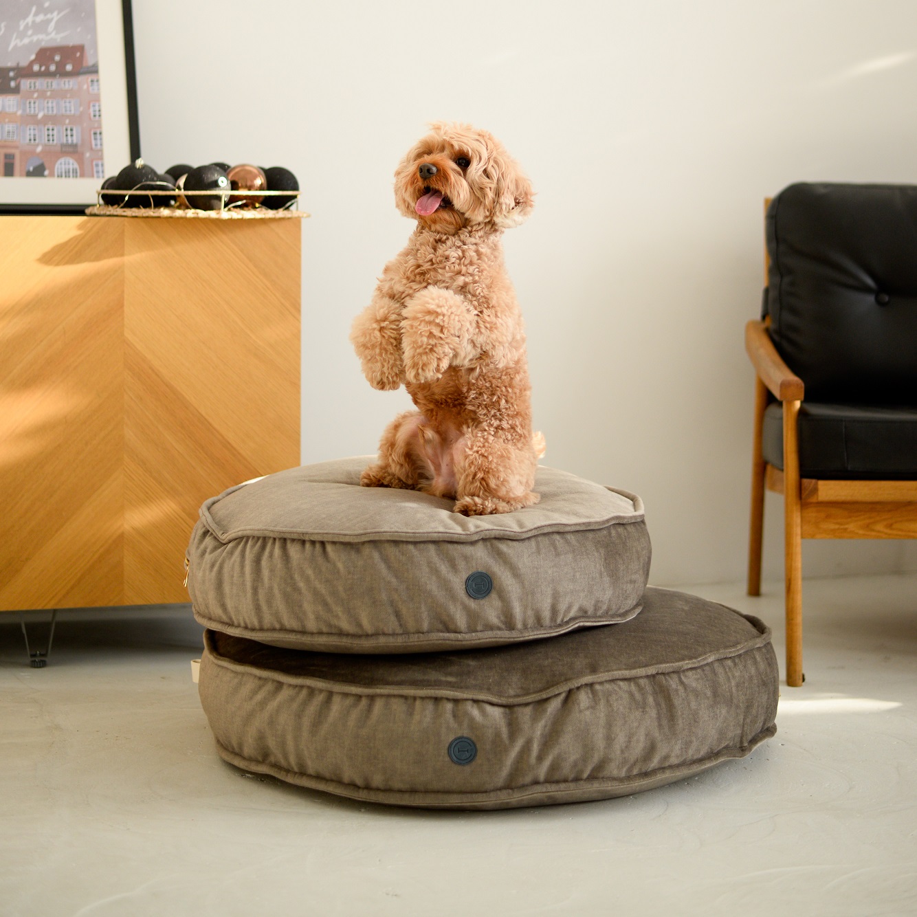 HARLEY AND CHO Подушка для котів та собак Memory Foam Island Olive6