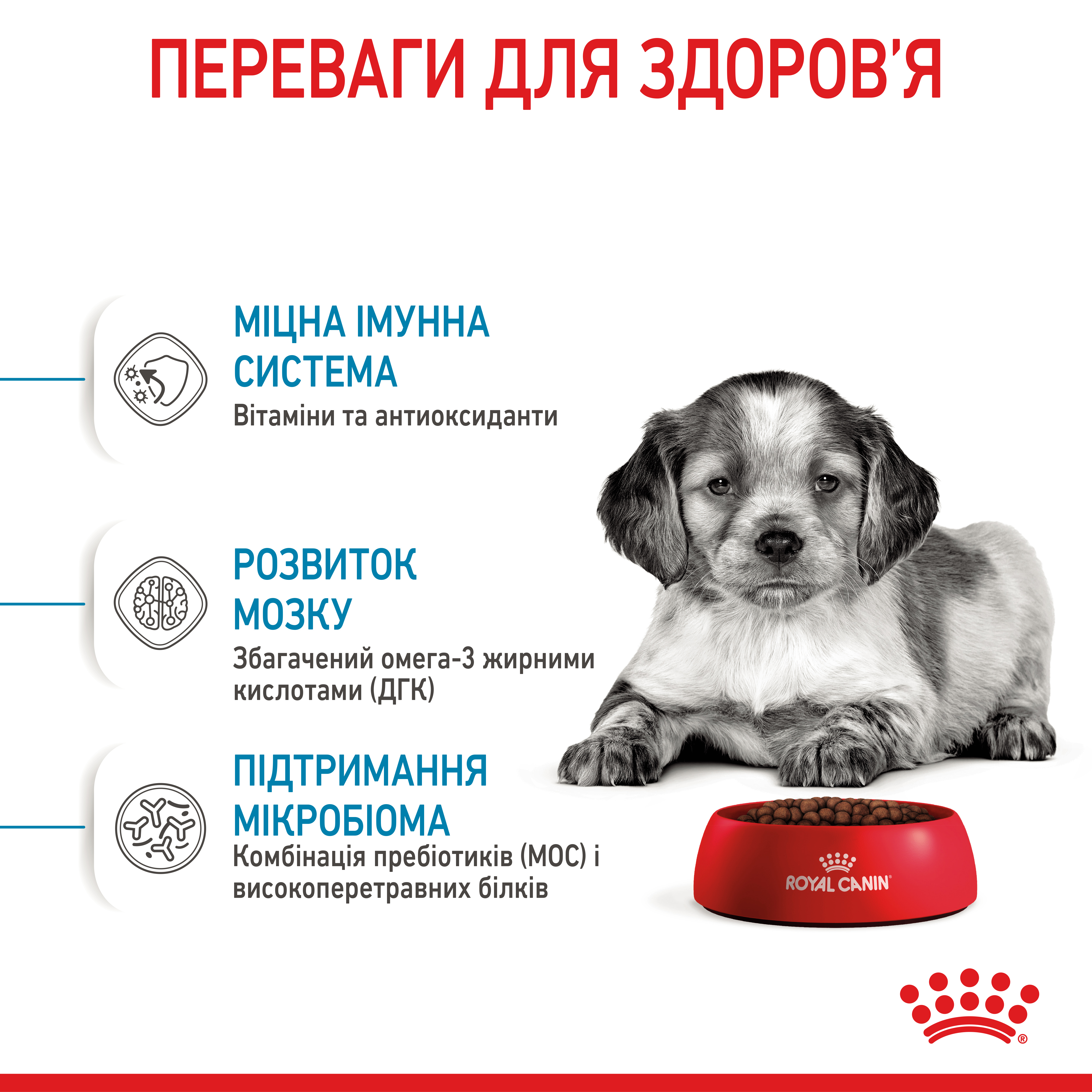 ROYAL CANIN Medium Puppy Сухий корм для цуценят2