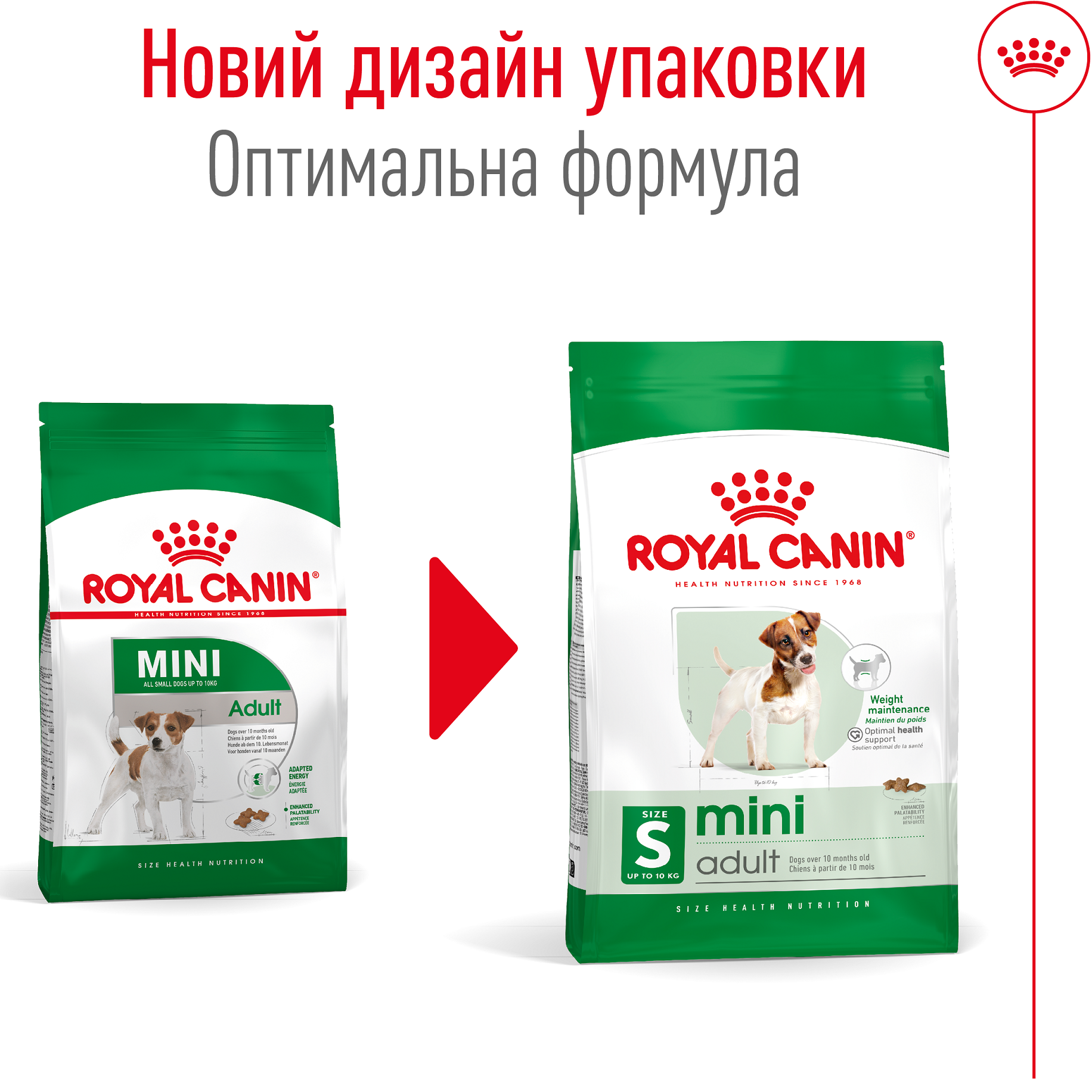 ROYAL CANIN Mini Adult Сухий корм для дорослих собак дрібних порід1