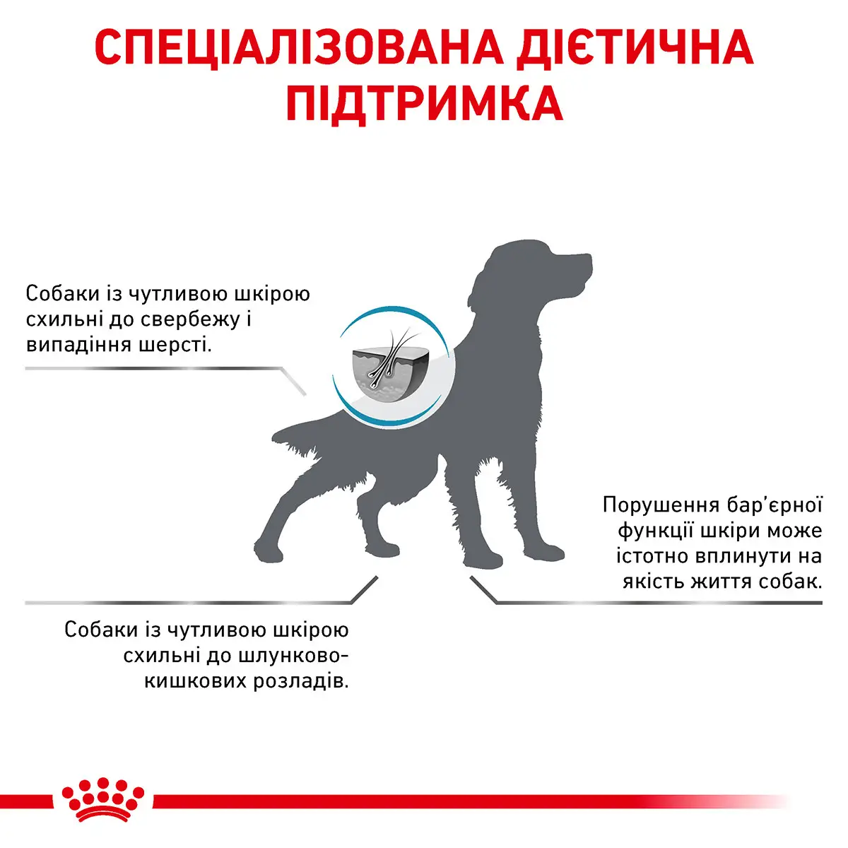 ROYAL CANIN Skin Care Adult Dog Сухий корм для дорослих собак7