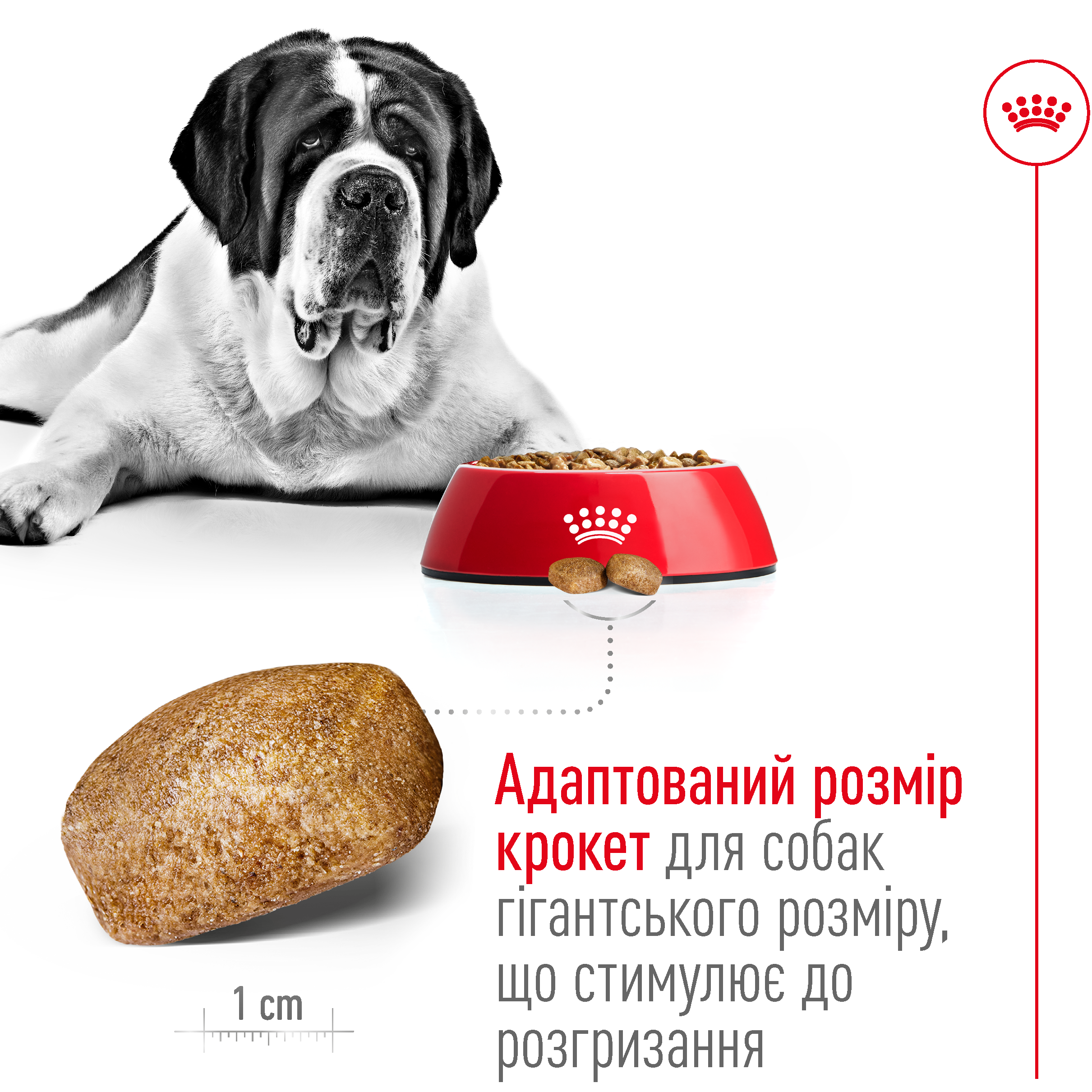 ROYAL CANIN Giant Adult Сухий корм для дорослих собак гігантських порід1