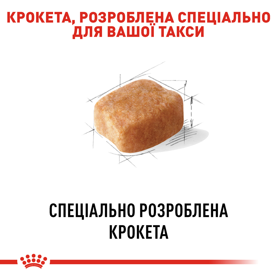 ROYAL CANIN Dachshund Adult Сухий корм для дорослих собак породи Такса6