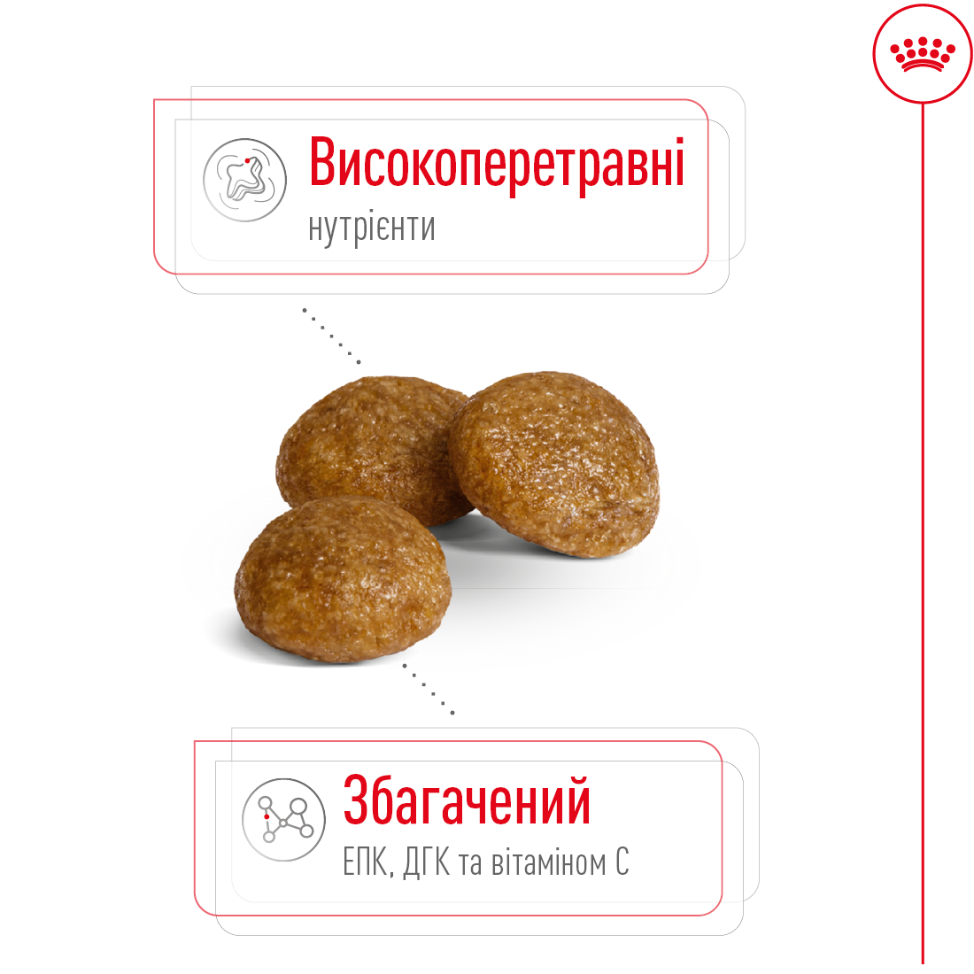 ROYAL CANIN X-Small Adult Сухой корм для взрослых собак мелких пород5