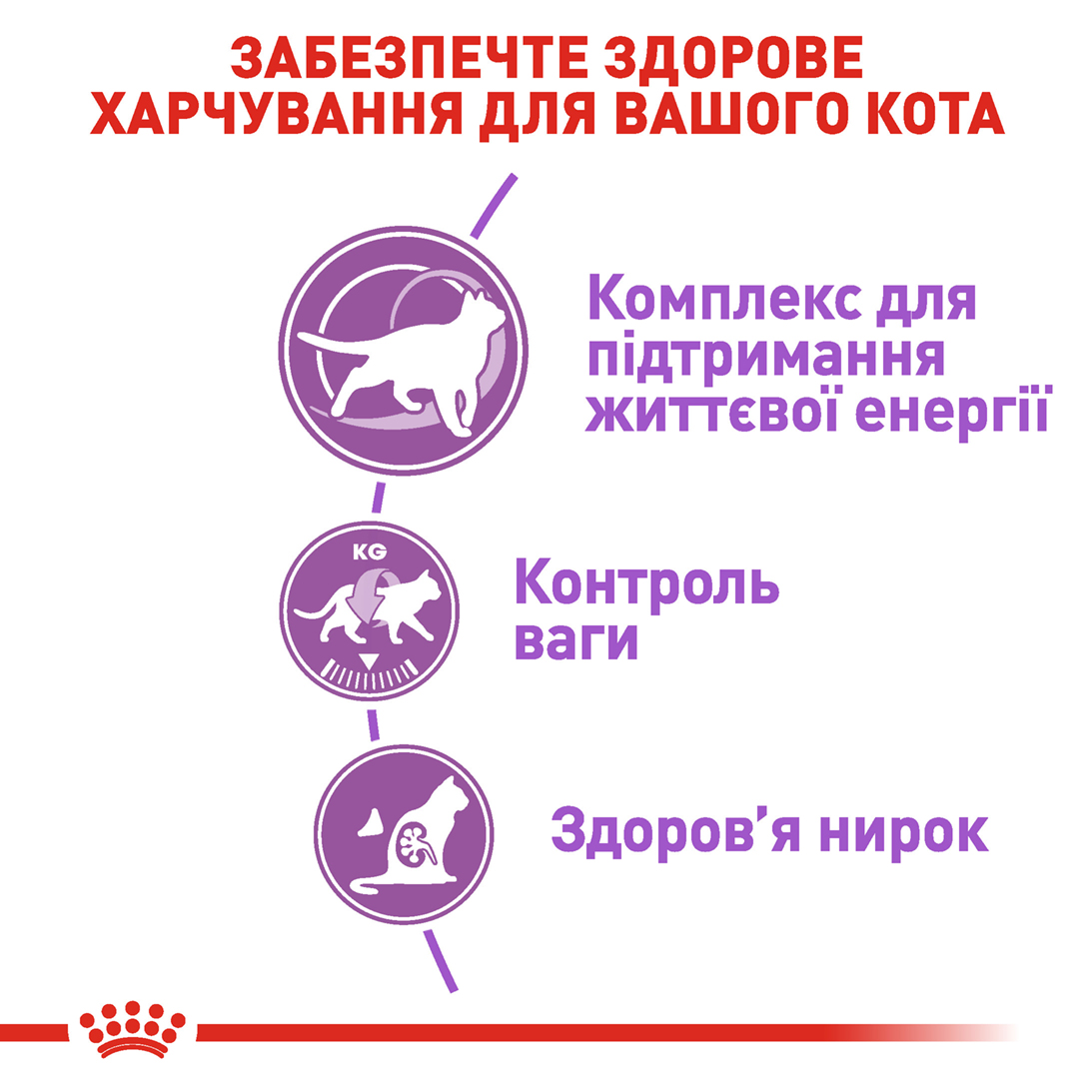 ROYAL CANIN Regular Sterilised 7+ Cухой корм для взрослых стерилизованных котов5