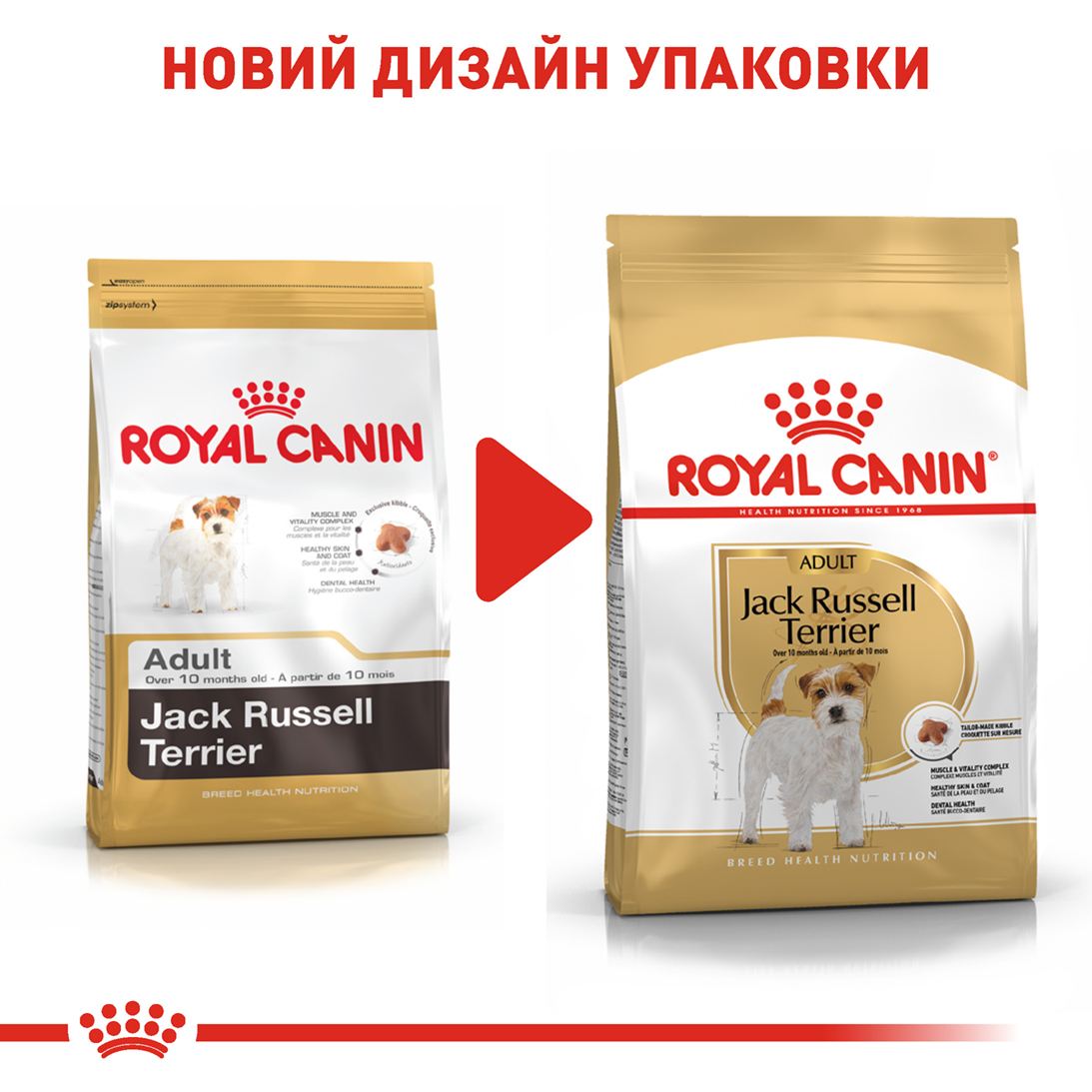 ROYAL CANIN Jack Russell Terrier Adult Сухий корм для дорослих собак породи джек-рассел-тер'єр7