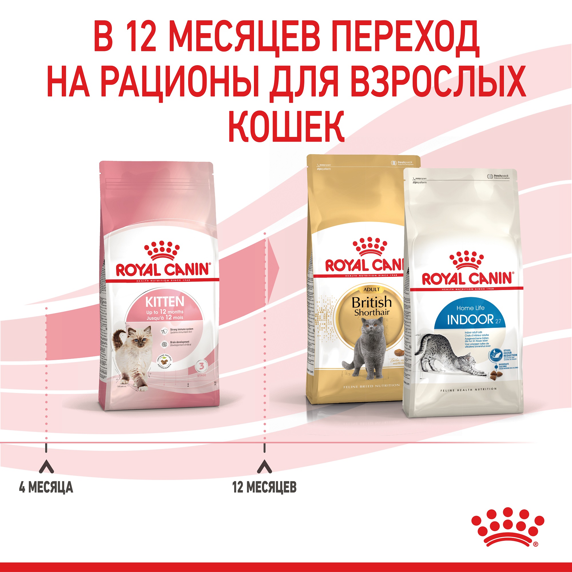 ROYAL CANIN Kitten Сухий корм для кошенят8