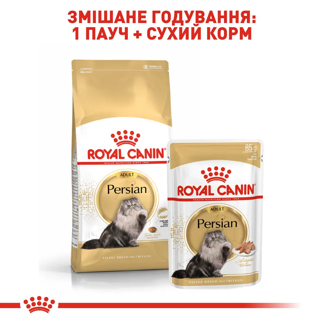 ROYAL CANIN Persian Adult Сухий корм для дорослих котів породи Персидська7