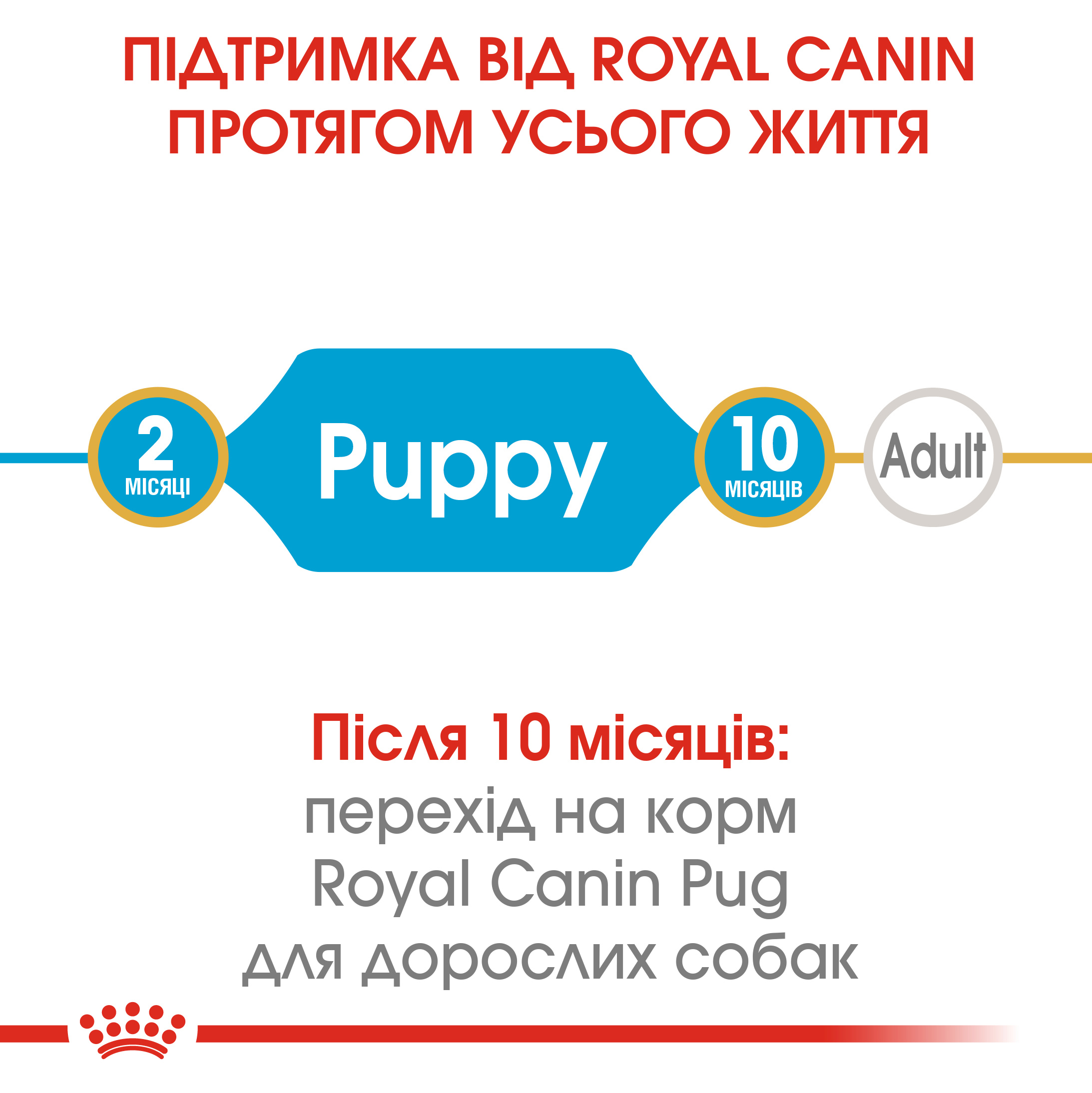 ROYAL CANIN Pug Puppy Сухой корм для щенков породы Мопс5