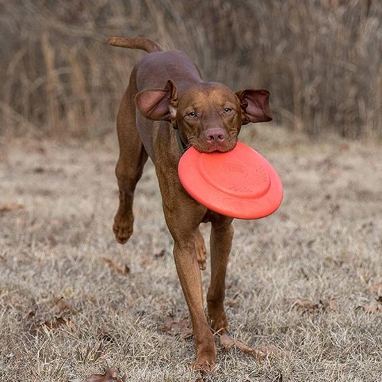 DEXAS Off-Leash Frisbee Flyer Іграшка для собак Літаюча тарілка2