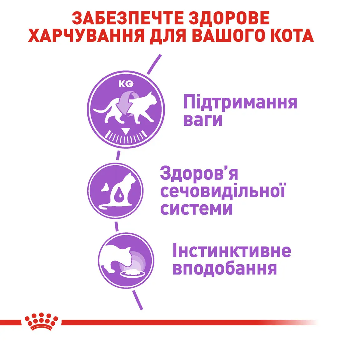 ROYAL CANIN Sterilised Loaf Вологий корм для дорослих стерилізованих котів2