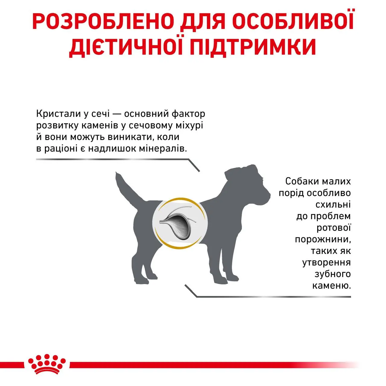 ROYAL CANIN Urinary S/O Small Dog Сухий корм для дорослих собак8