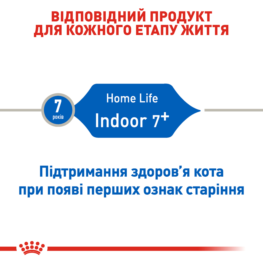 ROYAL CANIN Indoor 7+ Сухий корм для домашніх котів6